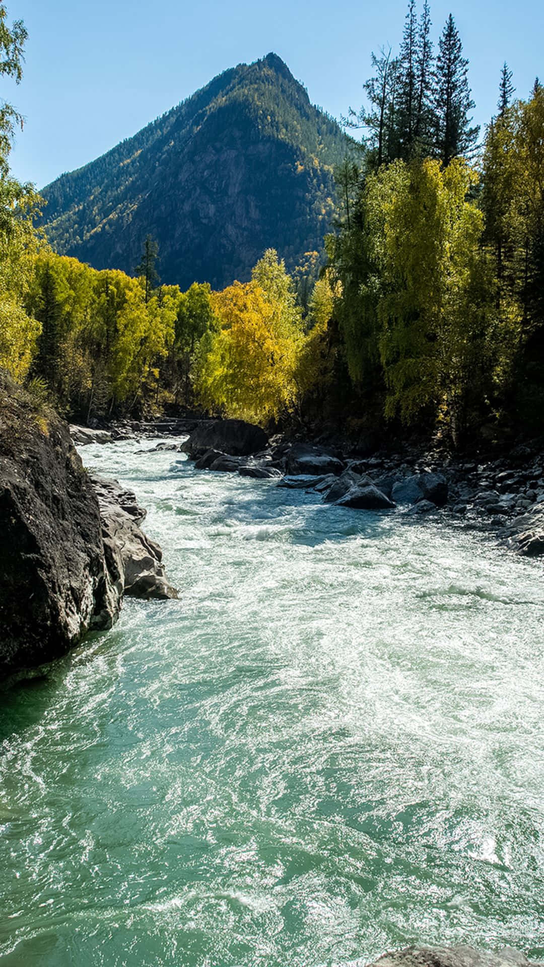 山脈 桌布 壁紙 — 一條湍急的碧綠河流蜿蜒穿過秋日樹林，金色樹木與高聳的山峰在清澈藍天下相映成趣。