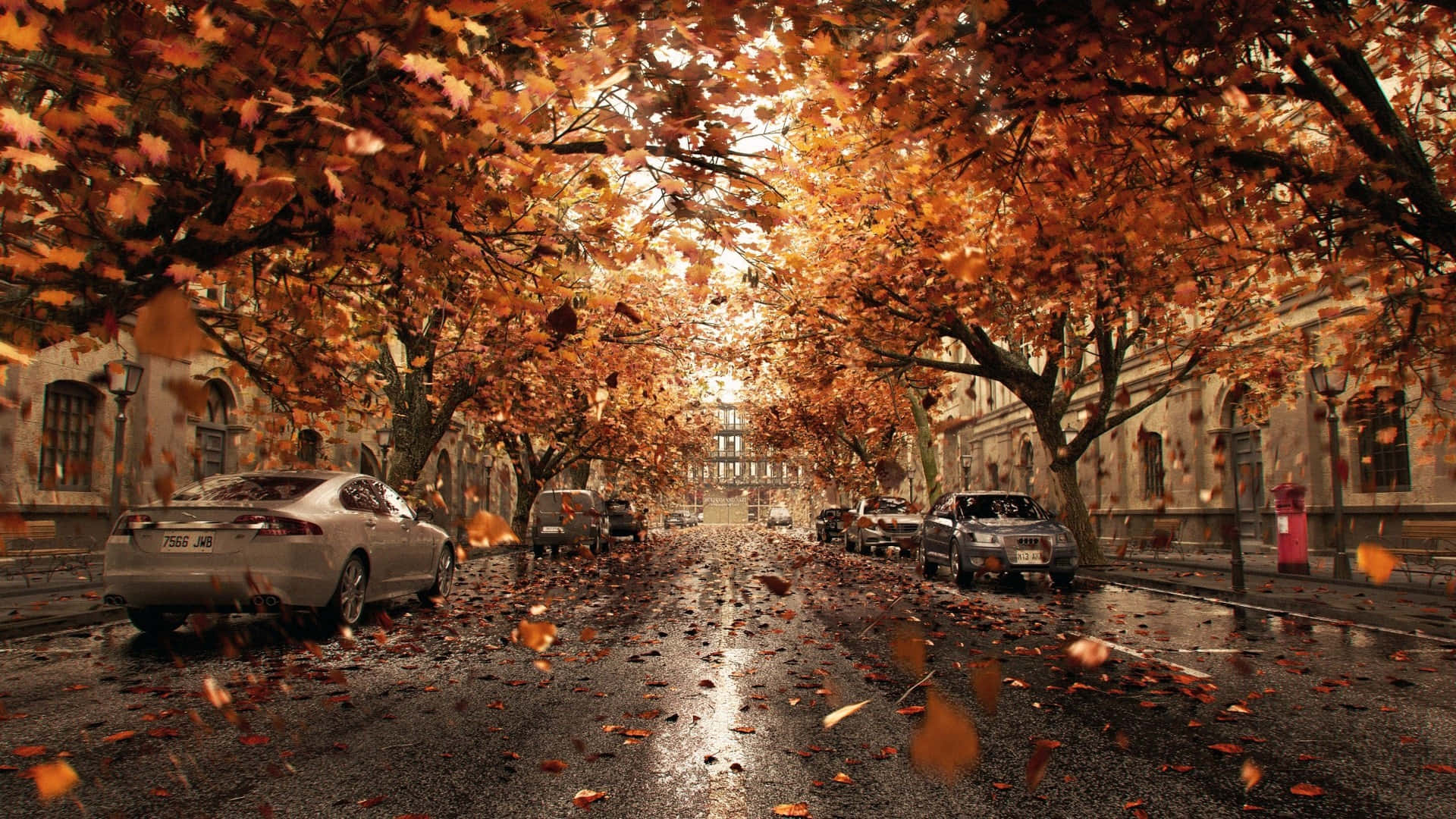Fall Town 桌布 壁紙 — 一條潮濕的秋日街道，兩旁樹木在柔和日光下灑落金黃的落葉。