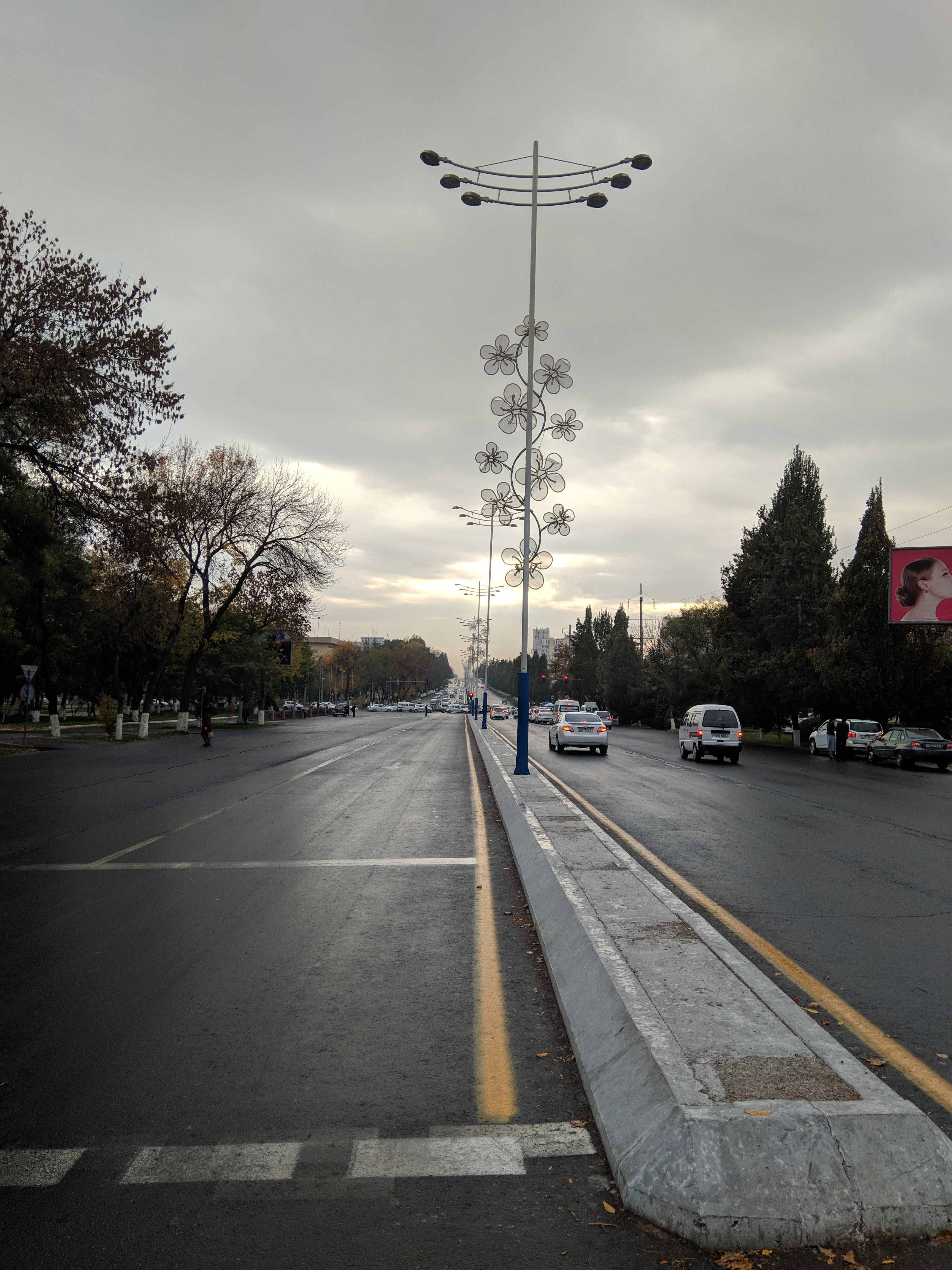 Uzbekistan 桌布 壁紙 — 一條濕漉漉的城市街道在陰天延伸，裝飾性的花朵形路燈和秋天的樹木排列在路邊。