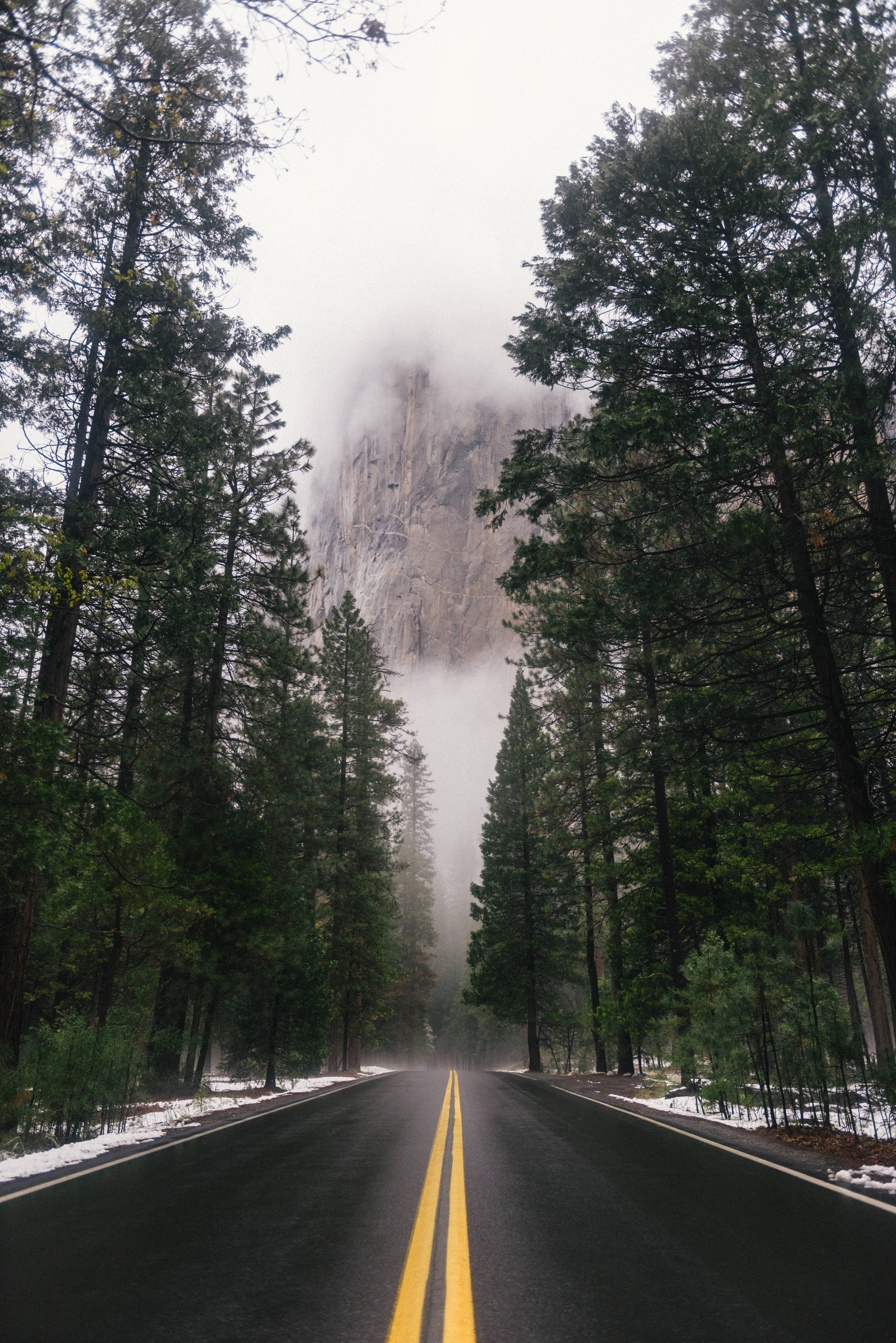 Road 桌布 壁紙 — 一條濕漉漉的瀝青路，黃線延伸，消失在籠罩著高聳花崗岩懸崖的迷霧中，懸崖兩旁是高聳的常青樹。