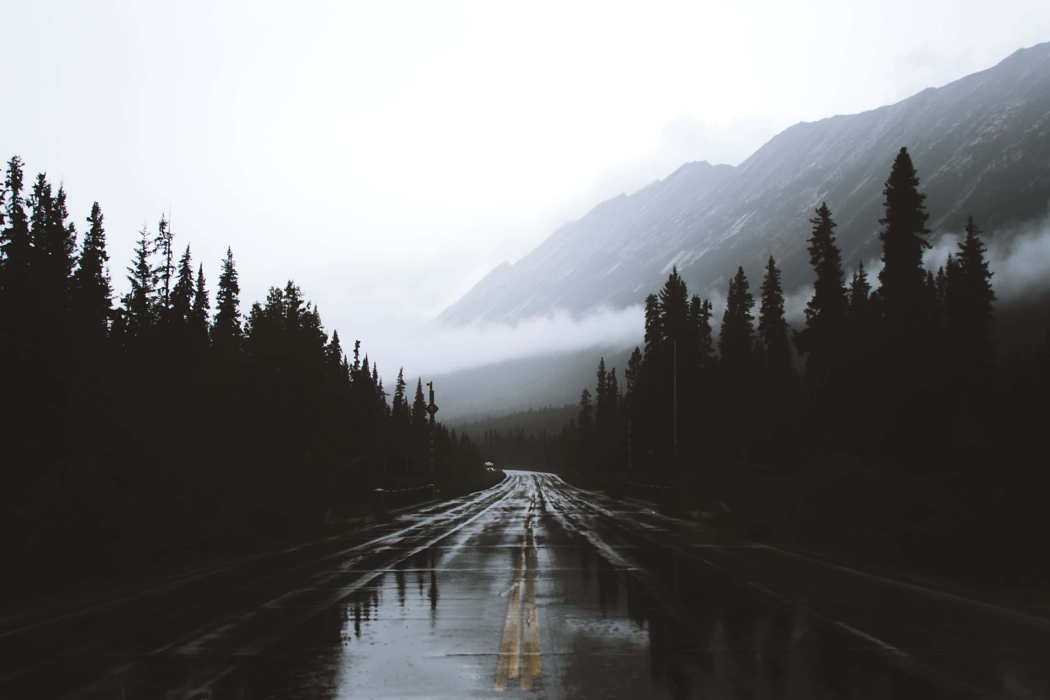 Wet 桌布 壁紙 — 一條濕漉漉的道路穿過霧氣瀰漫的森林，兩旁是黑暗的松樹和 towering 的山脈，天空多雲。