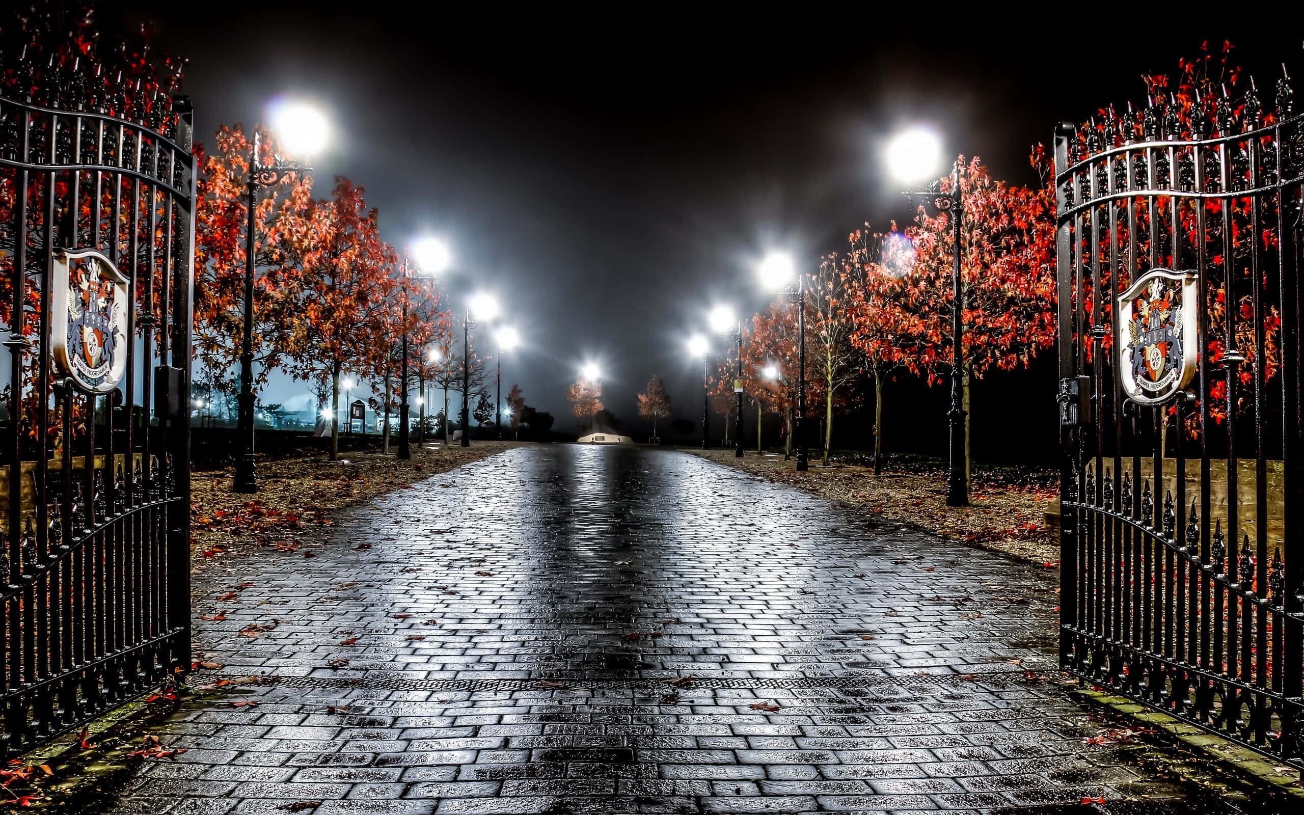 Street Light 桌布 壁紙 — 一條濕漉漉的鵝卵石小徑在發光的路燈下延伸入夜，兩旁是火紅葉子的樹木和華麗的大門。