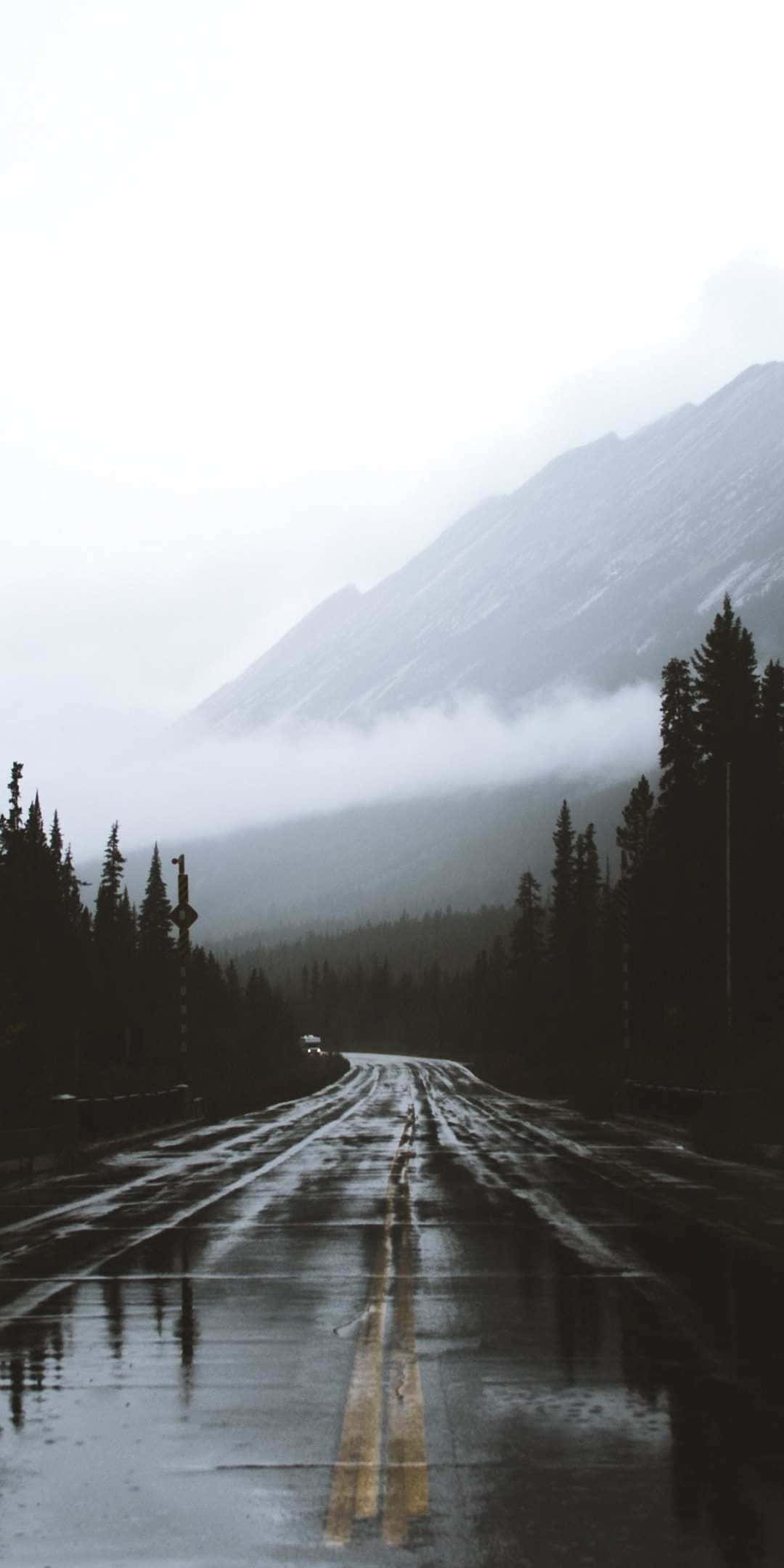 Foggy Aesthetic 桌布 壁紙 — 一條濕潤的山路蜿蜒穿過霧氣瀰漫的常綠森林，天空陰沉，遠峰隱約可見。