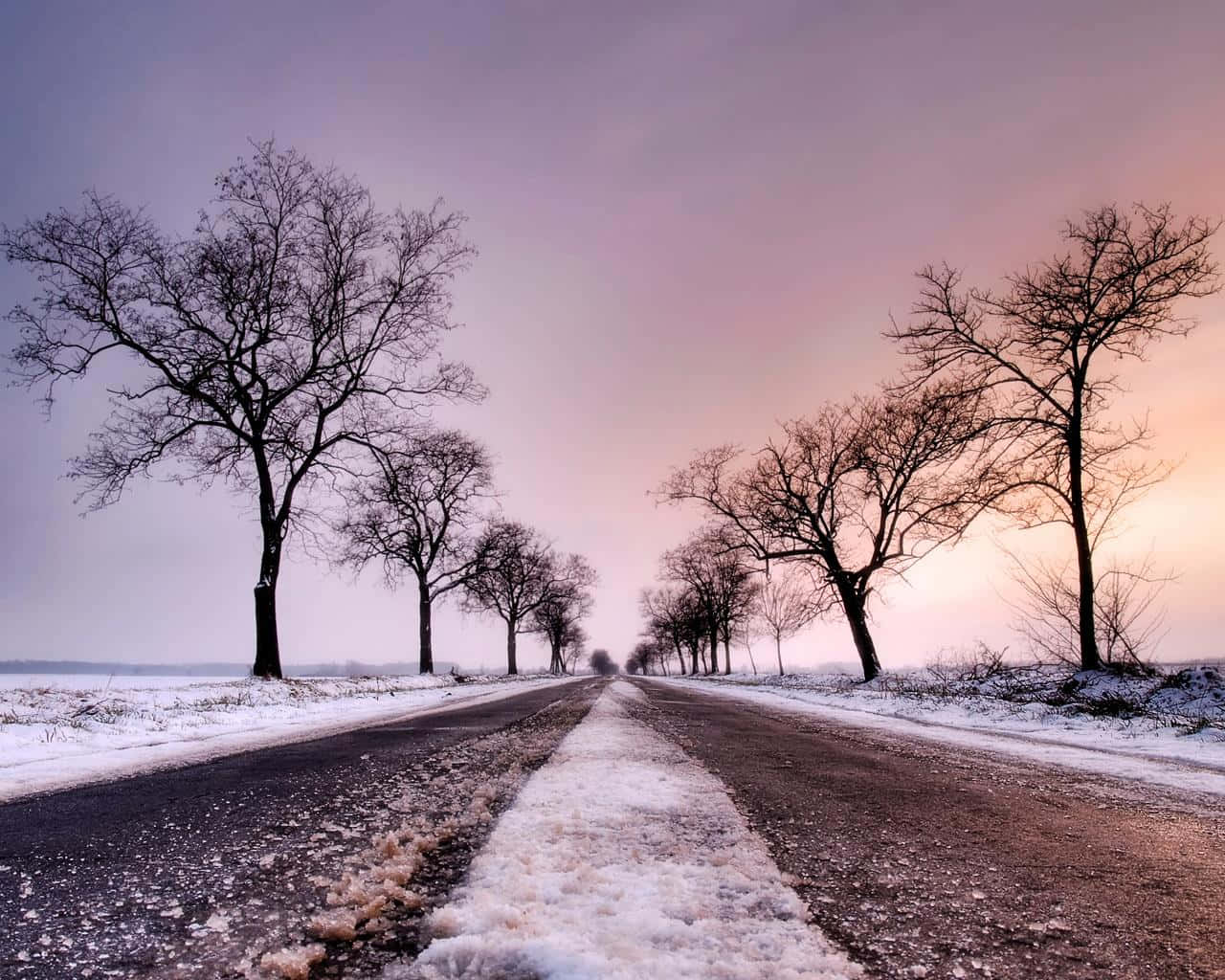 Road 桌布 壁紙 — 一條灑滿雪的道路伸向遠方，兩旁是光禿禿的樹木，上方是柔和粉紅與紫色的冬日天空。