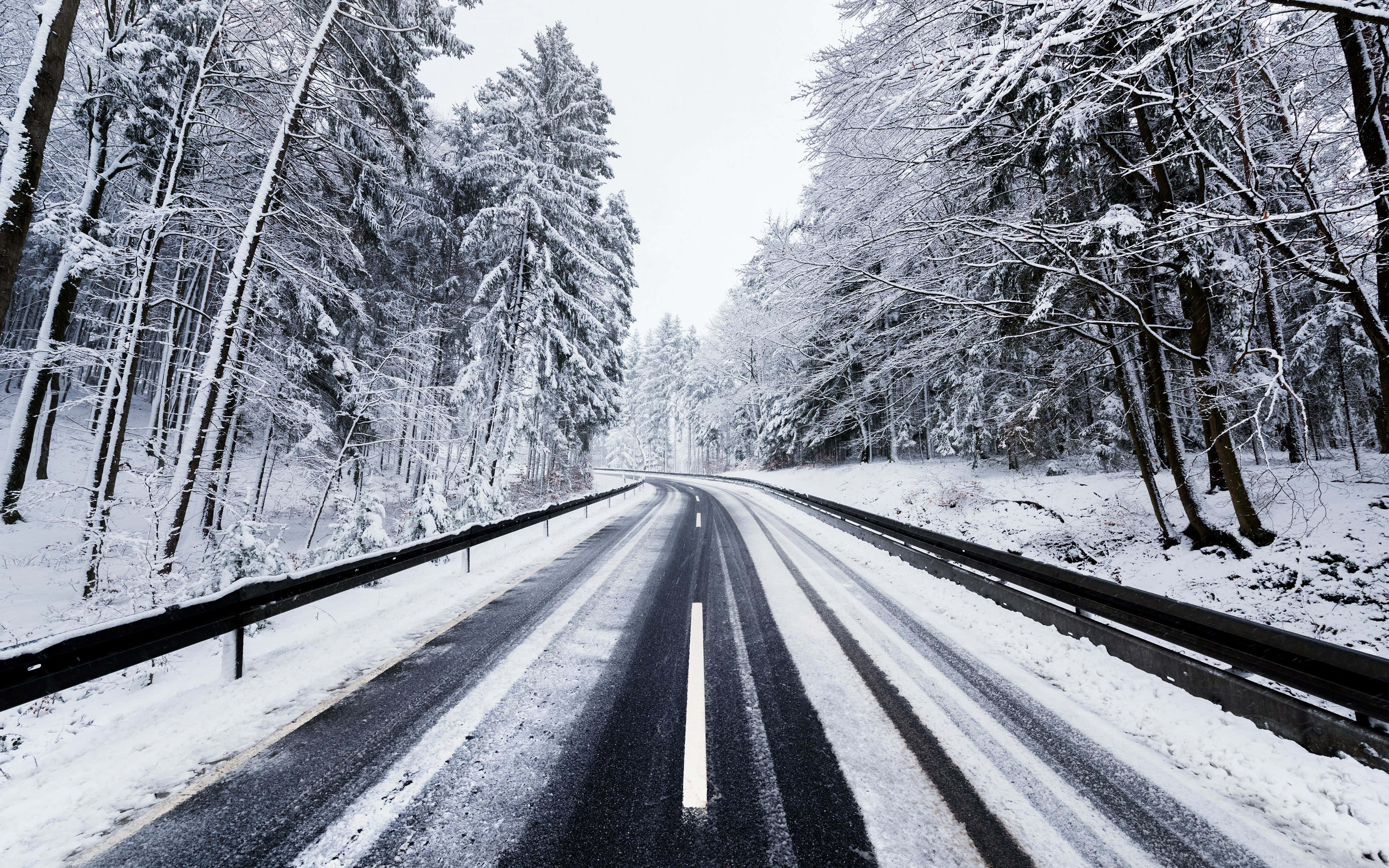 Snowy Road 桌布 壁紙 — 一條灑滿雪的道路蜿蜒穿過茂密的冬季森林，高大的樹木在陰天天空下披上白衣。