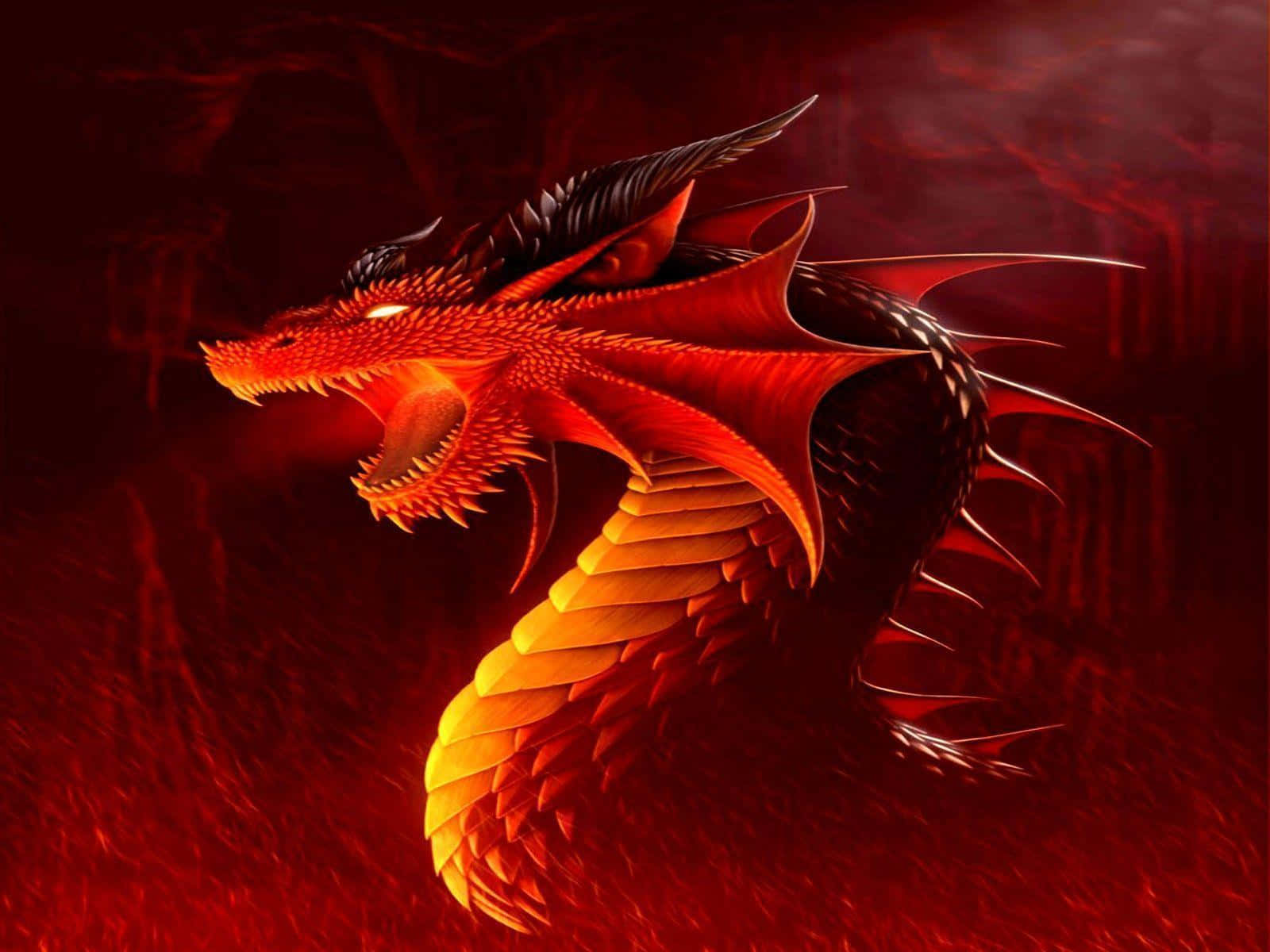 Dragon Profile 桌布 壁紙 — 一條火紅色的龍，眼睛發光，牙齒鋒利，在深紅色的背景上咆哮。