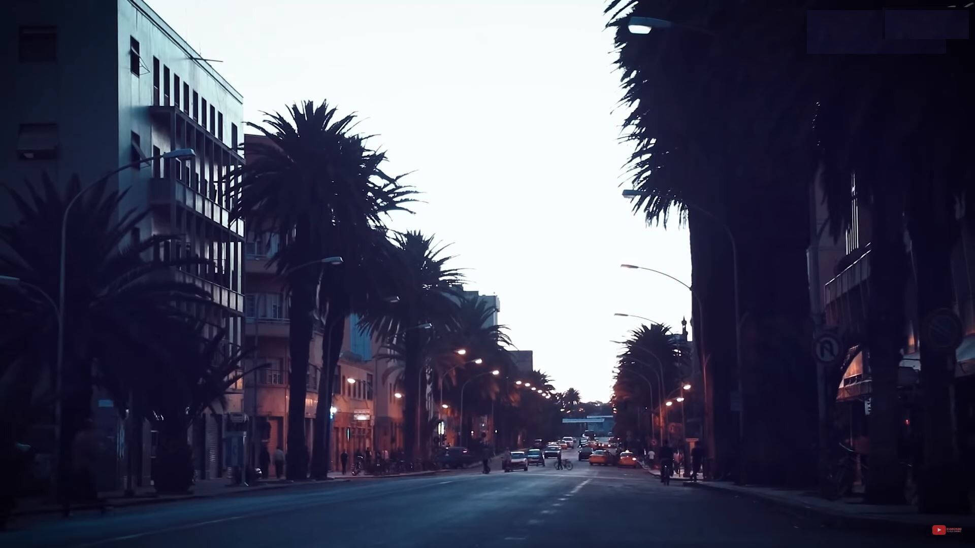 Eritrea 桌布 壁紙 — 一條燈光昏暗的城市街道，兩旁種滿高大的棕櫚樹和建築物，在蒼白的暮色天空下。
