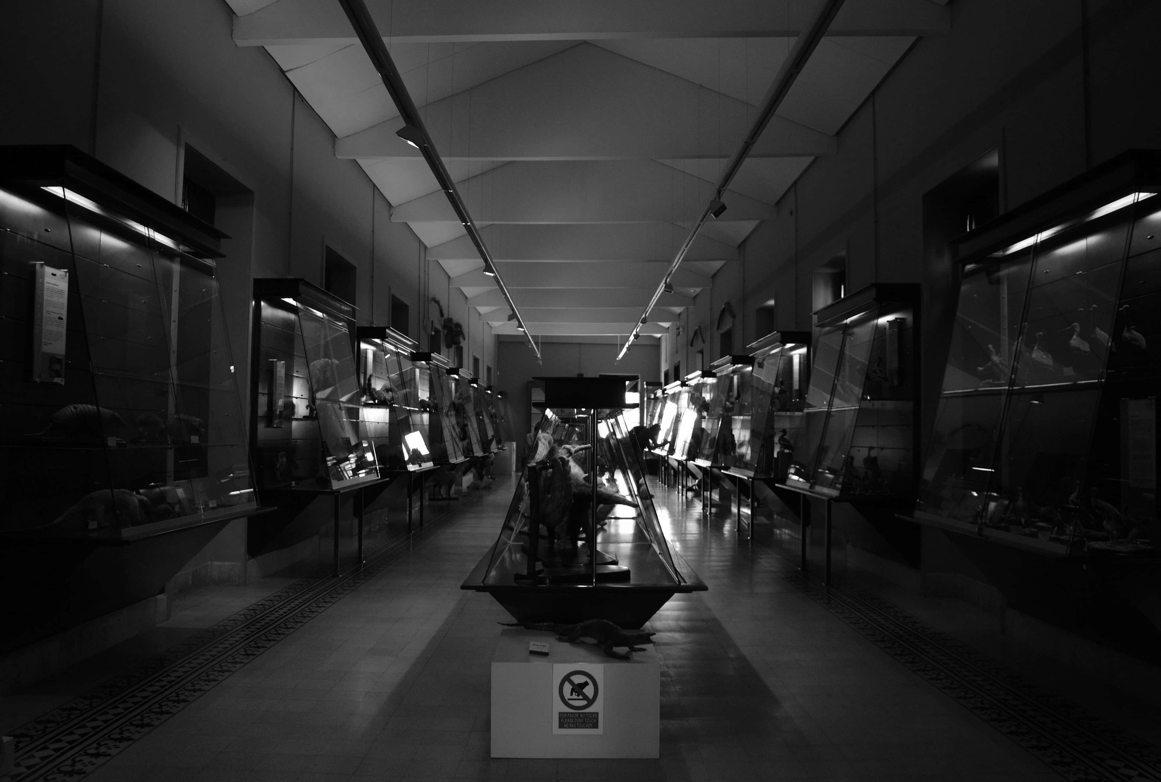 Museums 桌布 壁紙 — 一條燈光昏暗的長長博物館走廊，兩旁排列著玻璃陳列櫃，在聚焦燈光下展示文物。