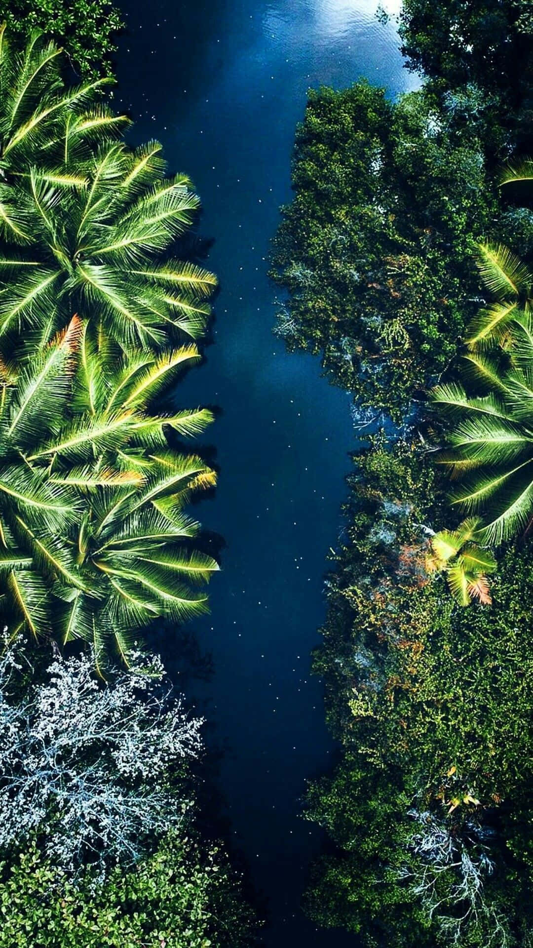 river 桌布 壁紙 — 一條狹窄河流蜿蜒穿過茂密熱帶叢林的鳥瞰圖，棕櫚葉閃閃發光，海水深藍。