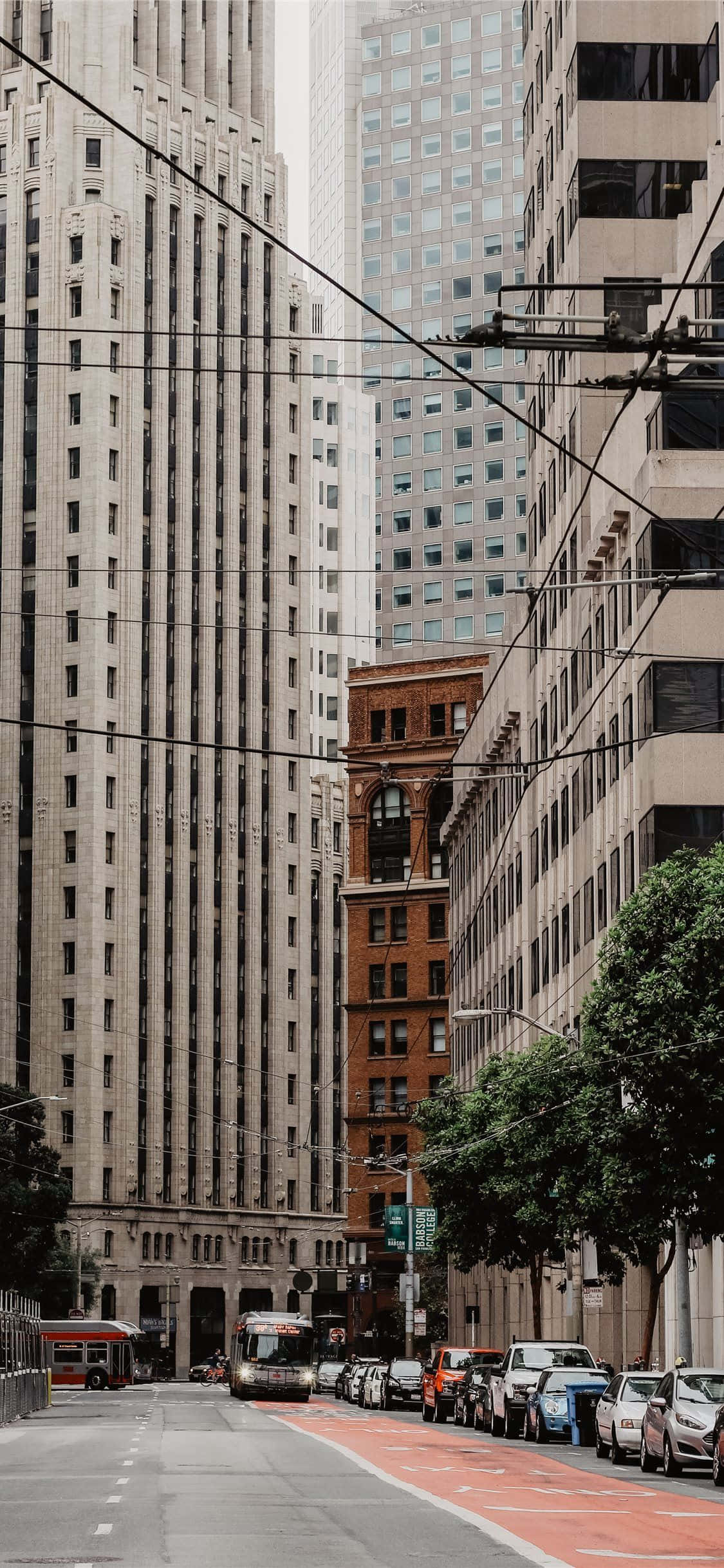 Buildings 桌布 壁紙 — 一條狹窄的城市街道，兩旁是高聳的摩天大樓和歷史悠久的磚造建築，纜車從架空電線下經過。