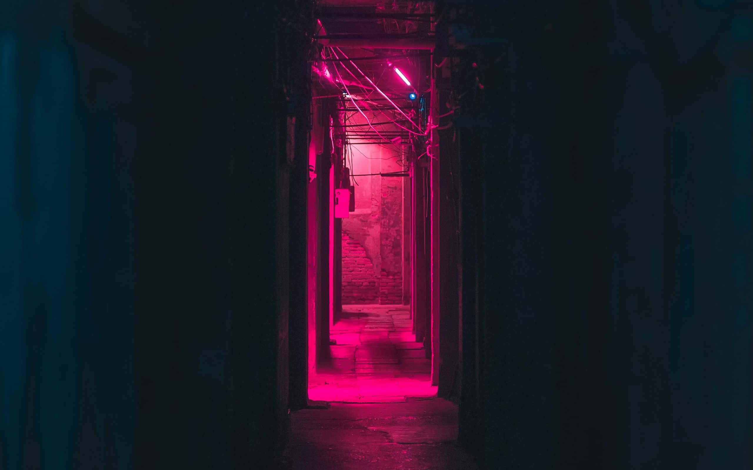 Pink Black 桌布 壁紙 — 一條狹窄的小巷，沐浴在強烈的粉紅色霓虹燈光中，在濕漉漉的石階上投下長長的陰影。