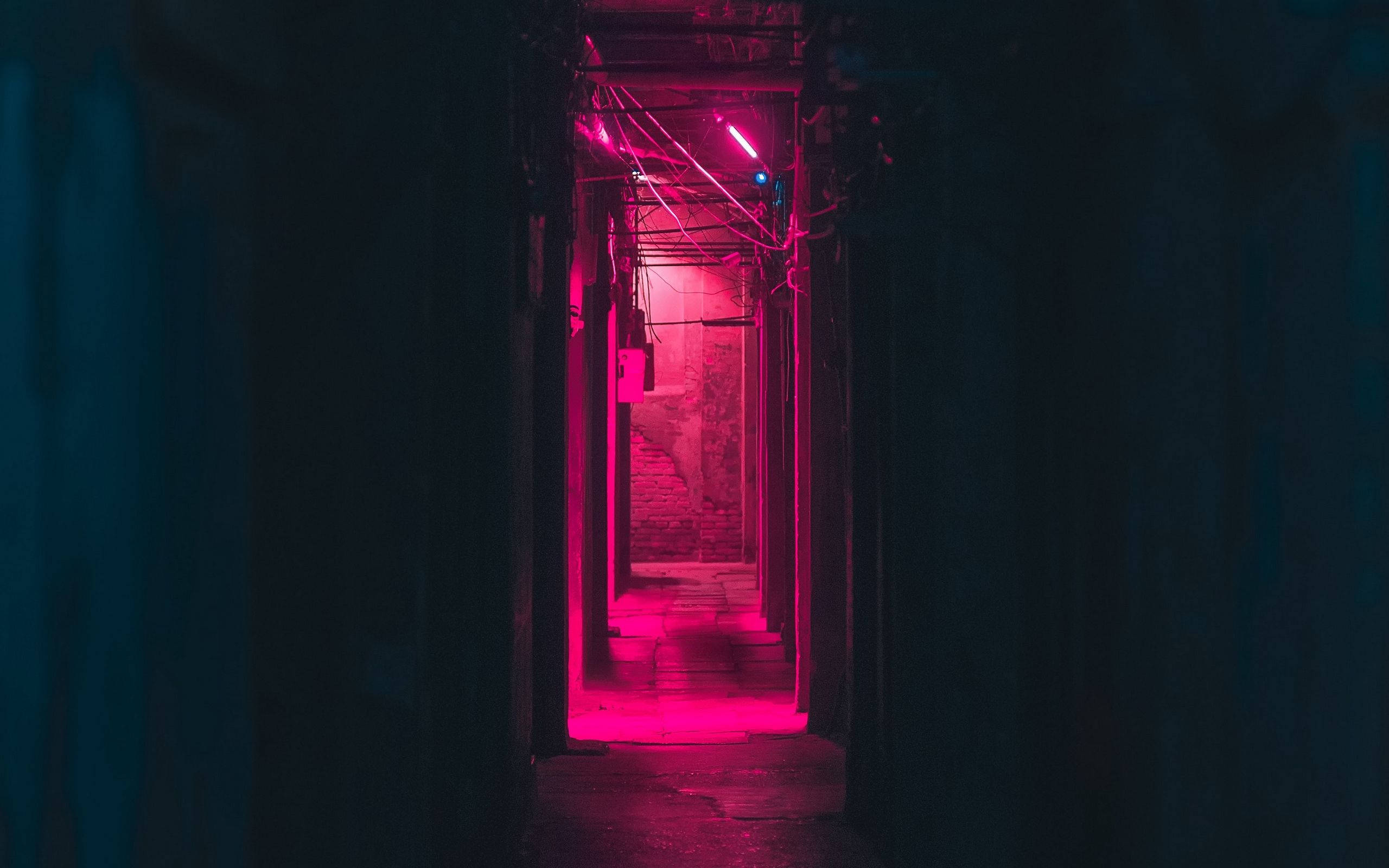 Neon Pink 桌布 壁紙 — 一條狹窄的小巷被強烈的粉紅色霓虹燈照亮，與深藍色的陰影形成對比，營造出陰鬱的城市場景。