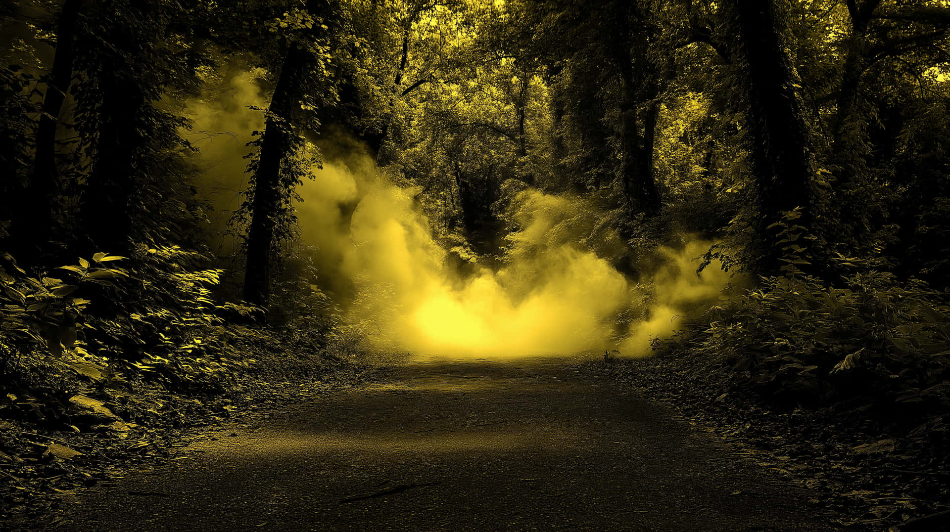 Enigmatic Forest Path with Mysterious Golden Mist 壁紙 — 一條狹窄的森林小徑被高聳樹木間旋轉的發光黃色薄霧照亮。
