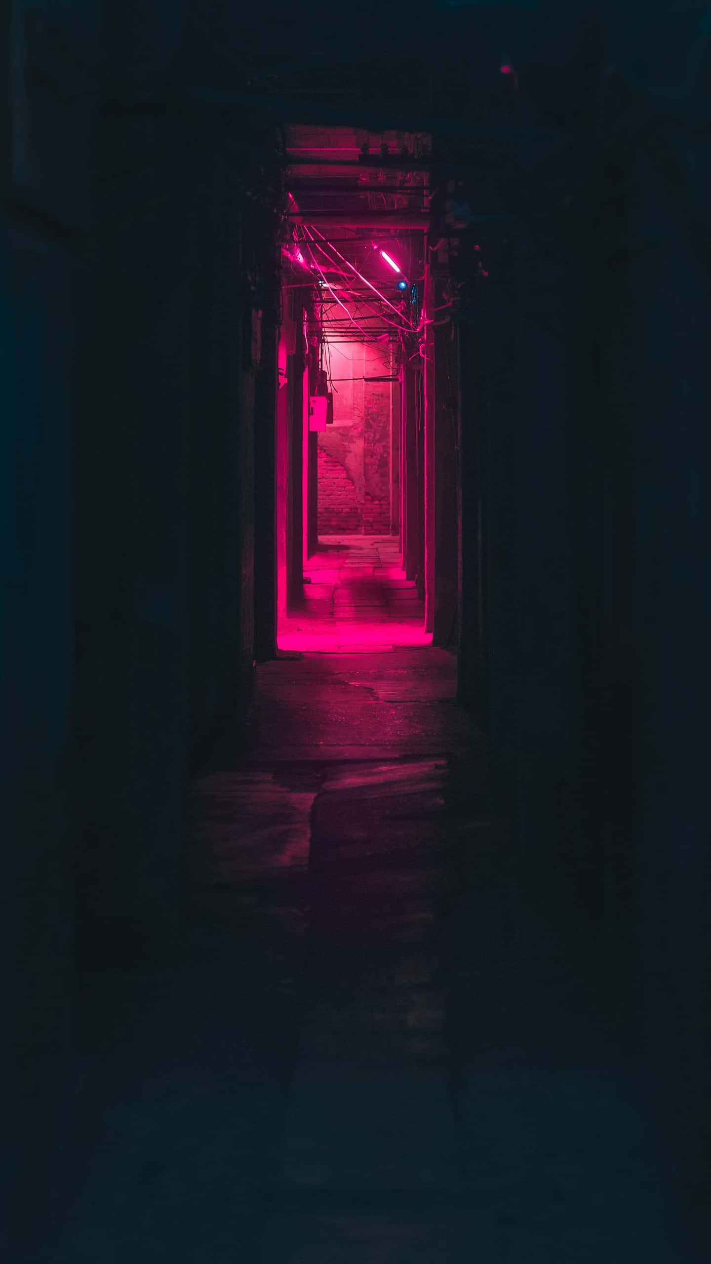 Neon Pink 桌布 壁紙 — 一條狹窄黑暗的小巷，被充滿活力的粉紅色霓虹燈照亮，在潮濕的石路上投下長長的影子。