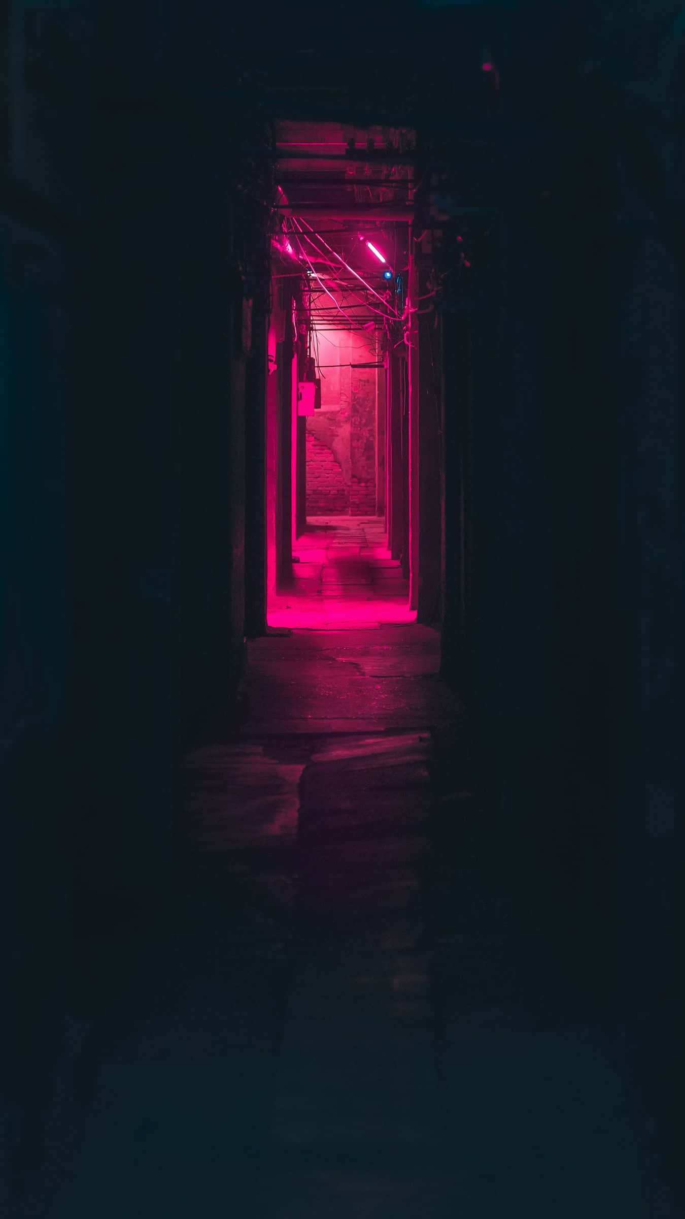 hallway 桌布 壁紙 — 一條狹窄黑暗的小巷，被強烈的粉紅色霓虹燈照亮，在潮濕的石路上投下長長的陰影。