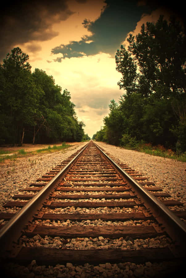 Train Tracks 桌布 壁紙 — 一條生鏽的鐵路軌道穿過森林，在戲劇性的金色天空下延伸至遠方。