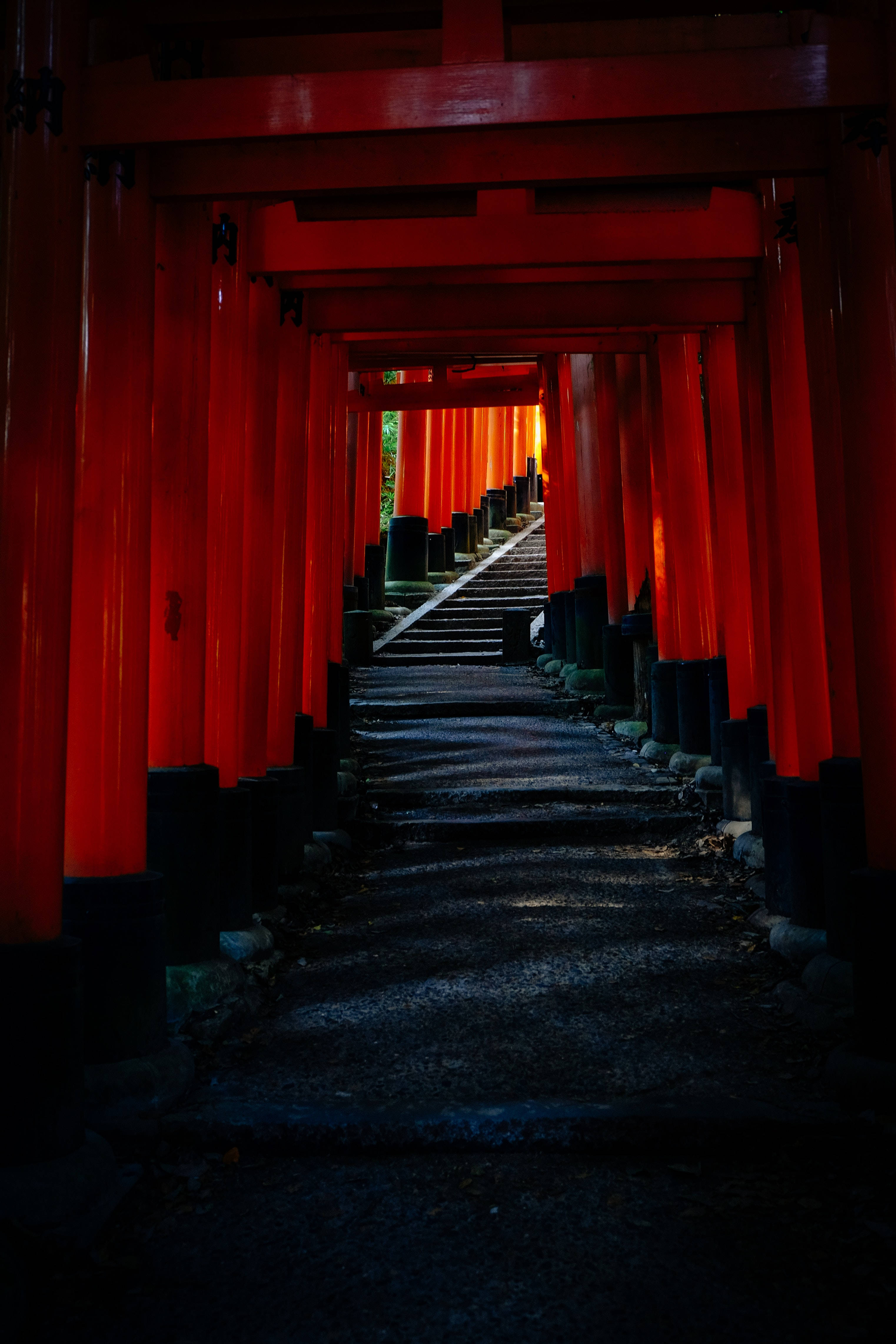 日本 桌布 壁紙 — 一條由鮮紅色鳥居組成的長隧道逐漸消失在黑暗中，樓梯向上通往一線光明。