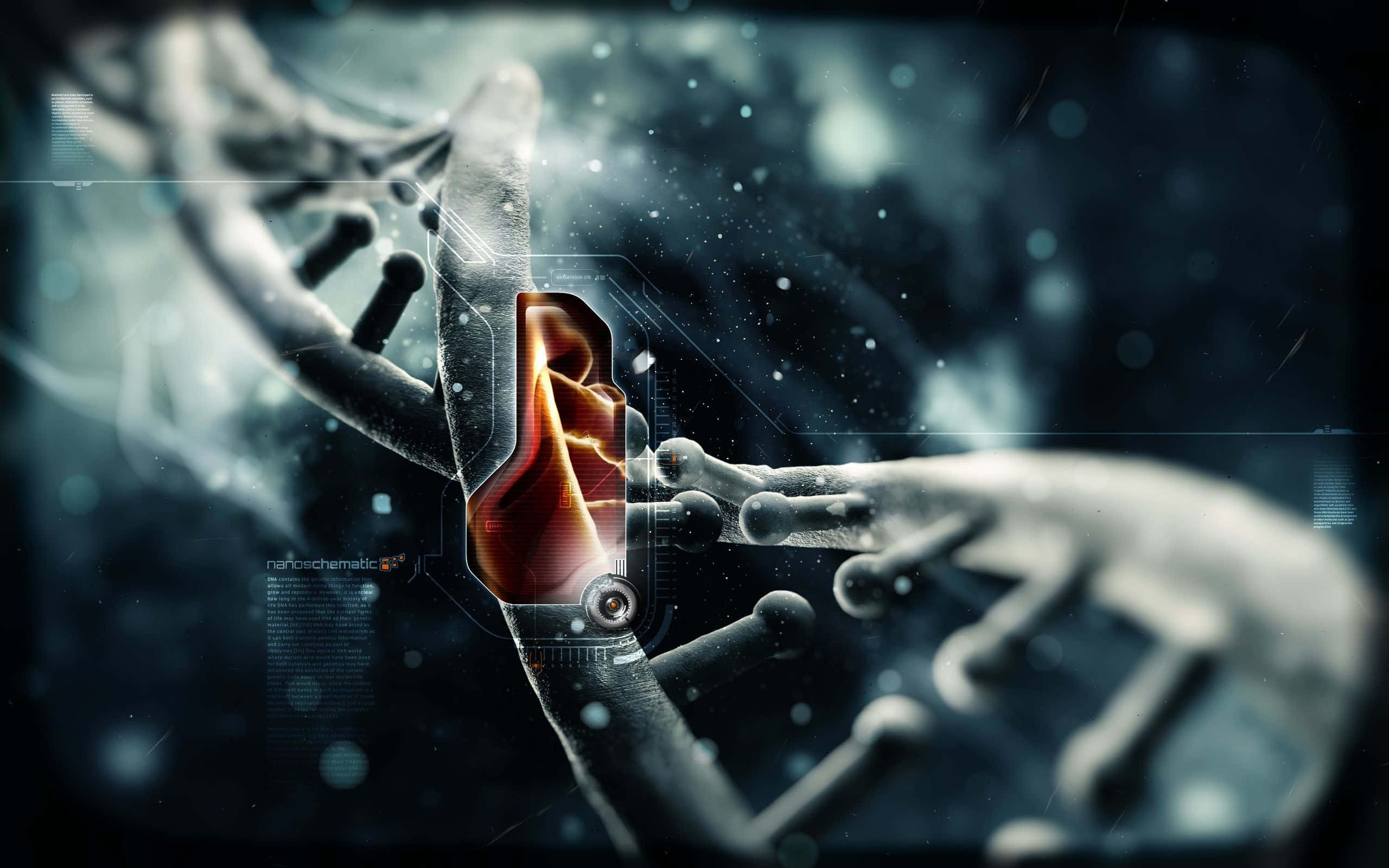 dna 桌布 壁紙 — 一條發光的橙色DNA鏈，帶有熾熱的核心，在黑暗的宇宙背景下被未來主義的數位介面掃描。