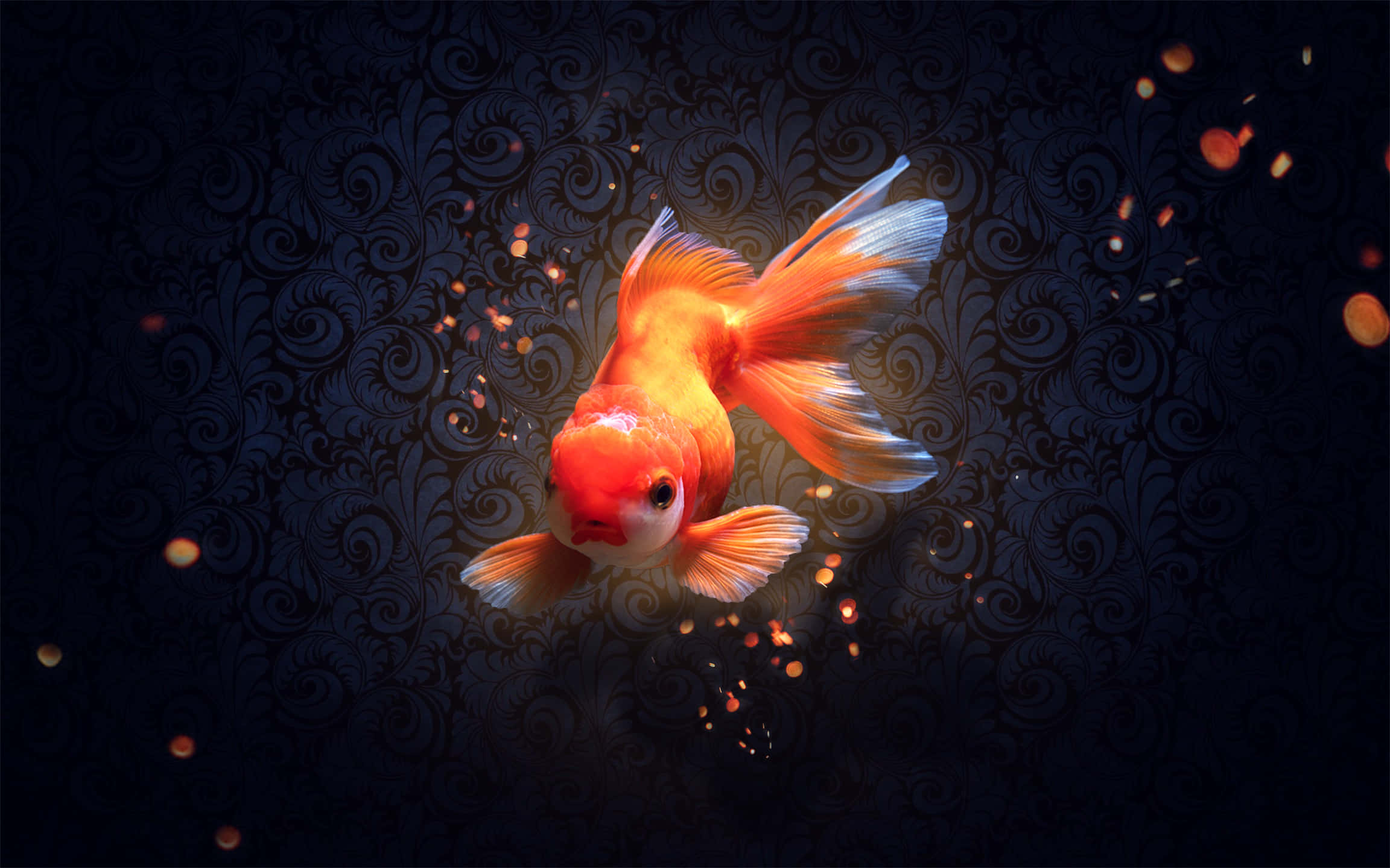 Goldfish 桌布 壁紙 — 一條發光的橙色金魚在黑暗華麗的背景中優雅地游動，背景中有漂浮的金色粒子。