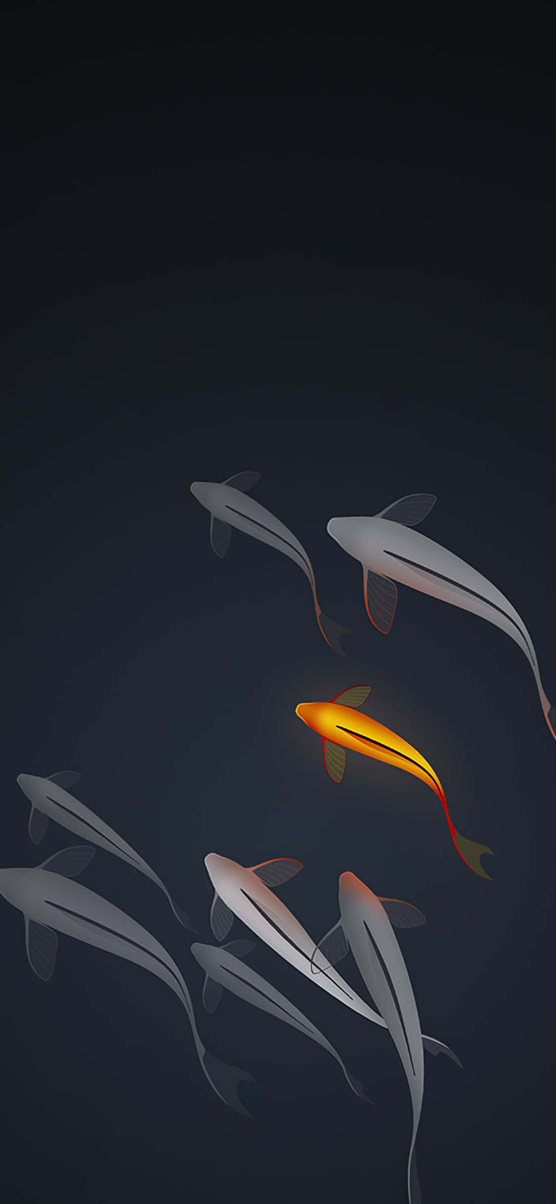 Koi Fish 桌布 壁紙 — 一條發光的橙色錦鯉在深暗的水中優雅地游動於銀色錦鯉之間，營造出寧靜而優雅的水下場景。