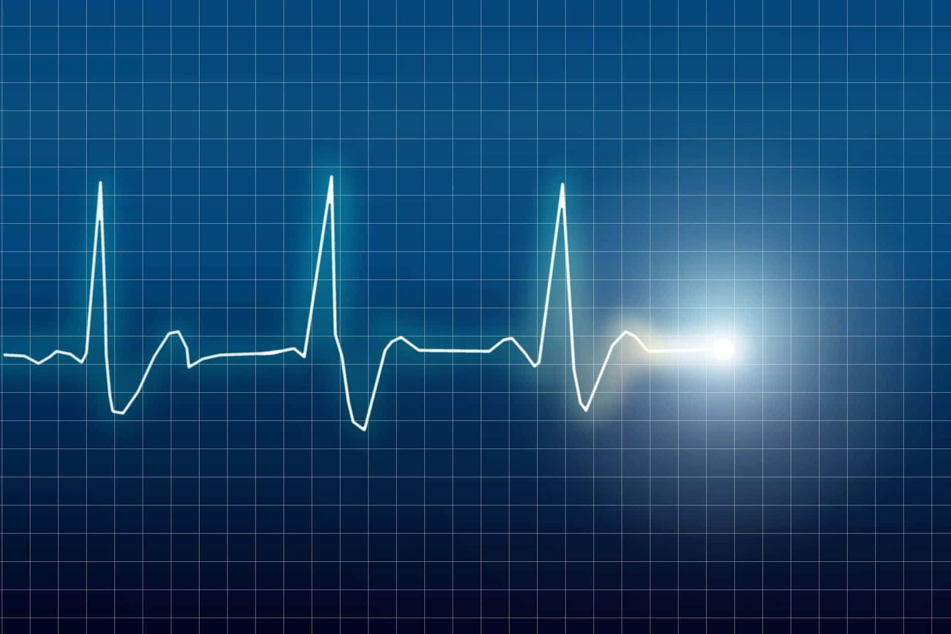 Heart Rate 桌布 壁紙 — 一條發光的白色心電圖線條在深藍色網格背景上脈動，右側有明亮的閃光。