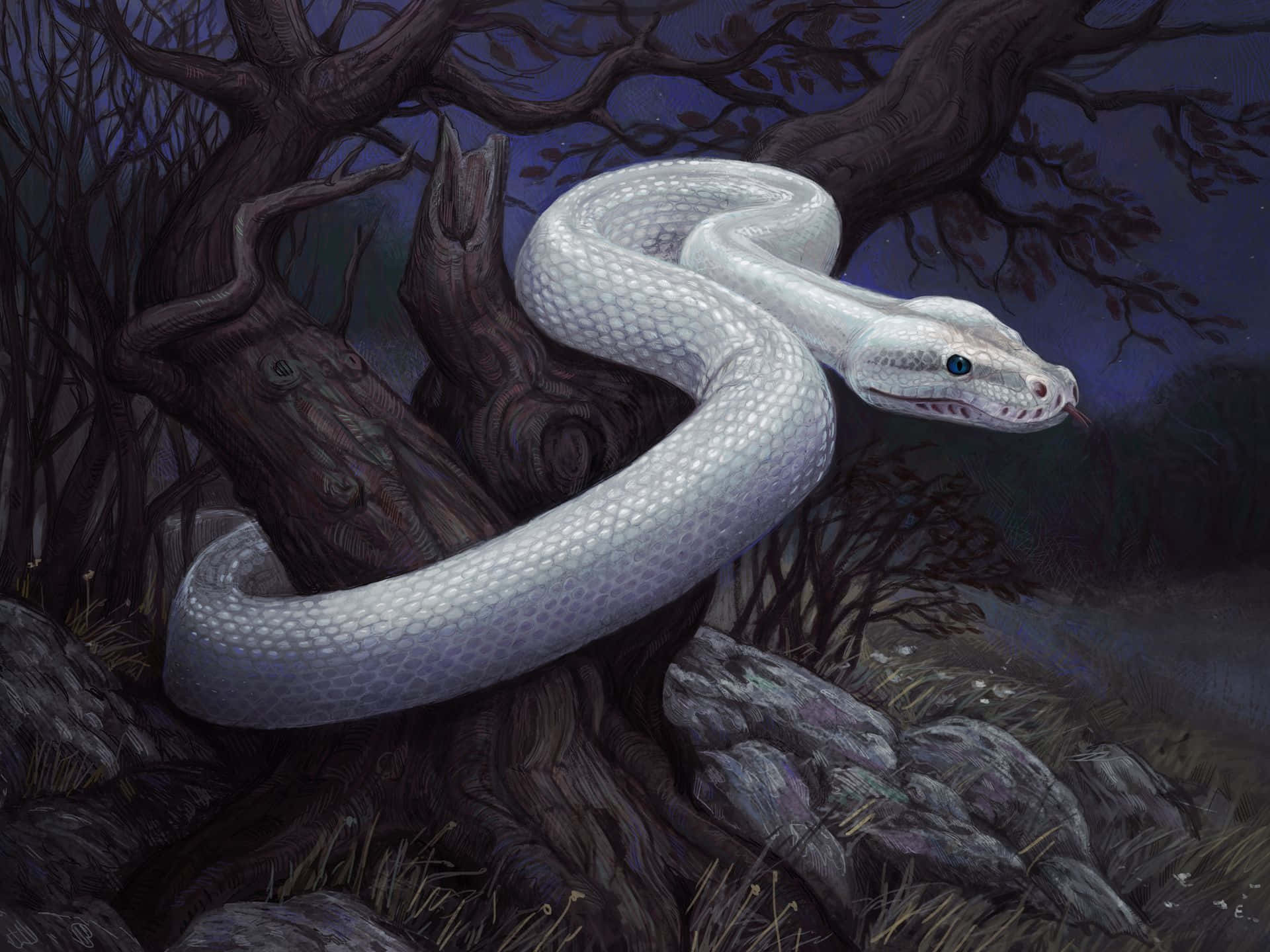 Scary Snake 桌布 壁紙 — 一條發光的白蛇纏繞在崎嶇的樹幹上，背景是黑暗森林中繁星點點的夜空。