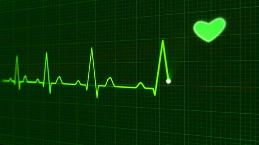 Heartbeat 桌布 壁紙 — 一條發光的綠色心跳線在深色網格上脈動，附近漂浮著一個明亮的心形圖標。