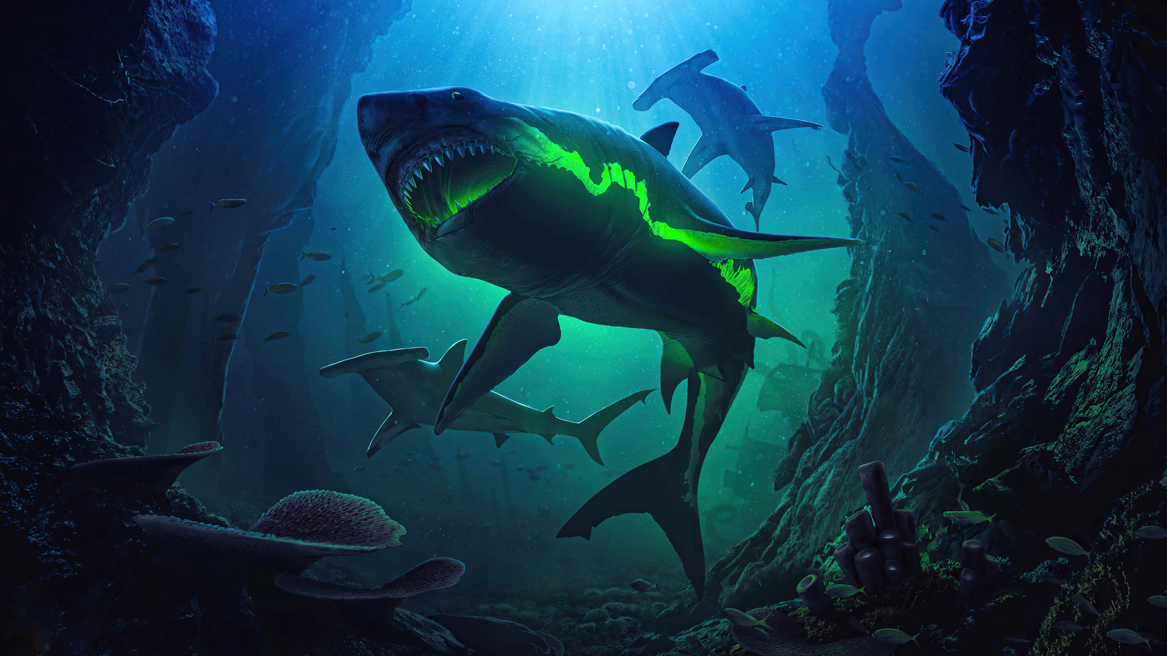 Swimming 桌布 壁紙 — 一條發光的綠色鯊魚在陽光照耀的水下洞穴中游動，周圍有雙髻鯊和小魚。
