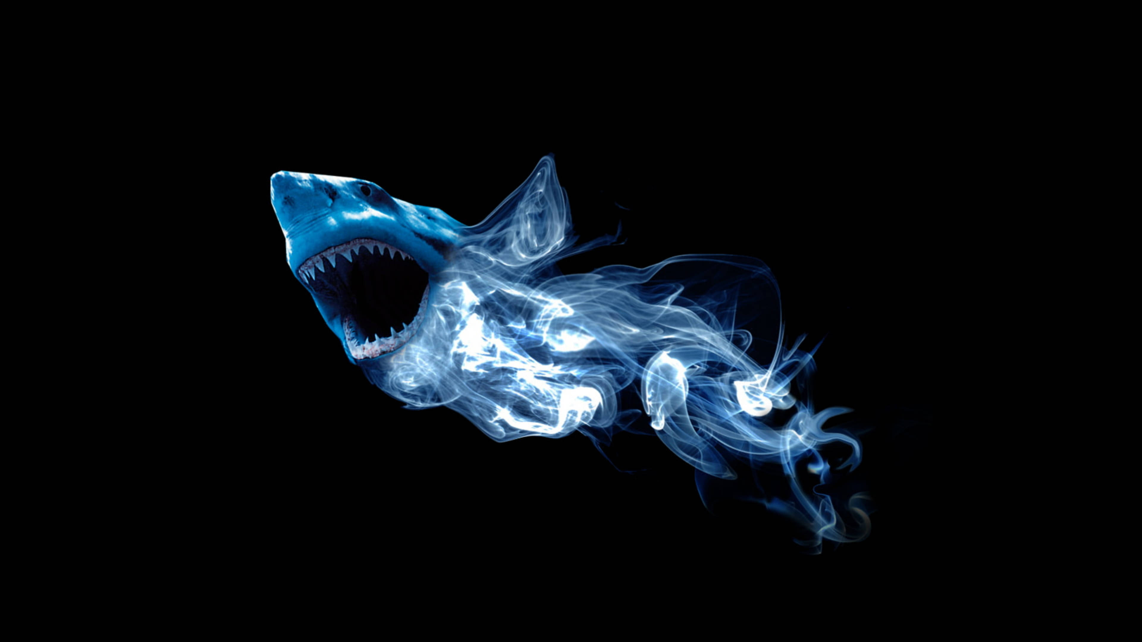 Blue Fire 桌布 壁紙 — 一條發光的藍色鯊魚，由旋轉的煙霧製成，鋒利的牙齒，黑色背景。