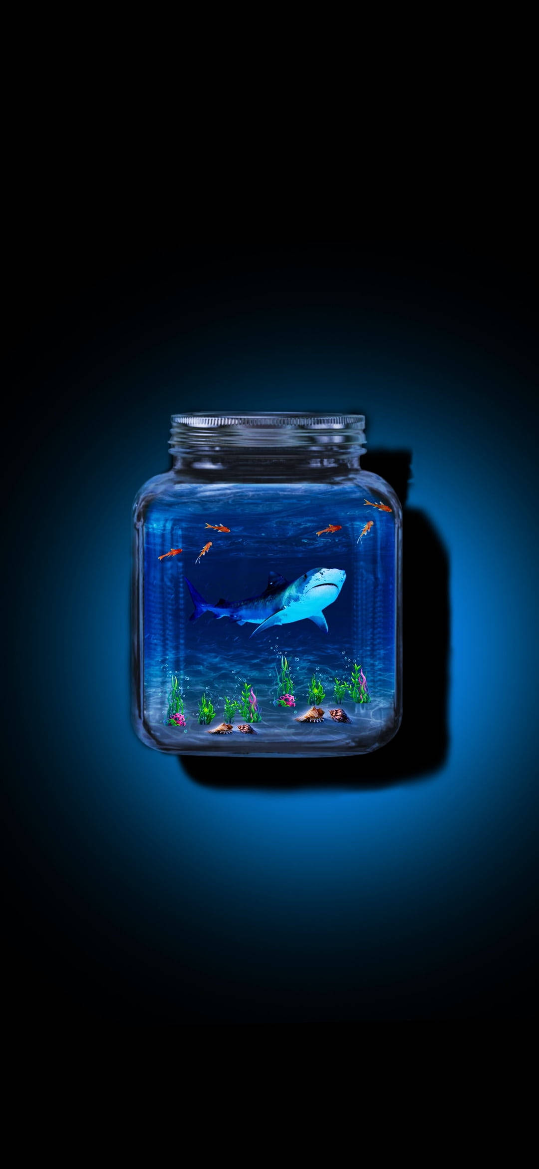 鯊魚 桌布 壁紙 — 一條發光的藍色鯊魚在一個裝滿水草和小魚的玻璃罐中平靜地游動，背景是黑暗的。
