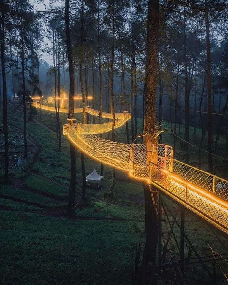 bridge 桌布 壁紙 — 一條發光的金色繩橋蜿蜒穿過薄暮時分的迷霧森林，連接高大的樹木，溫暖的燈光照亮小徑。