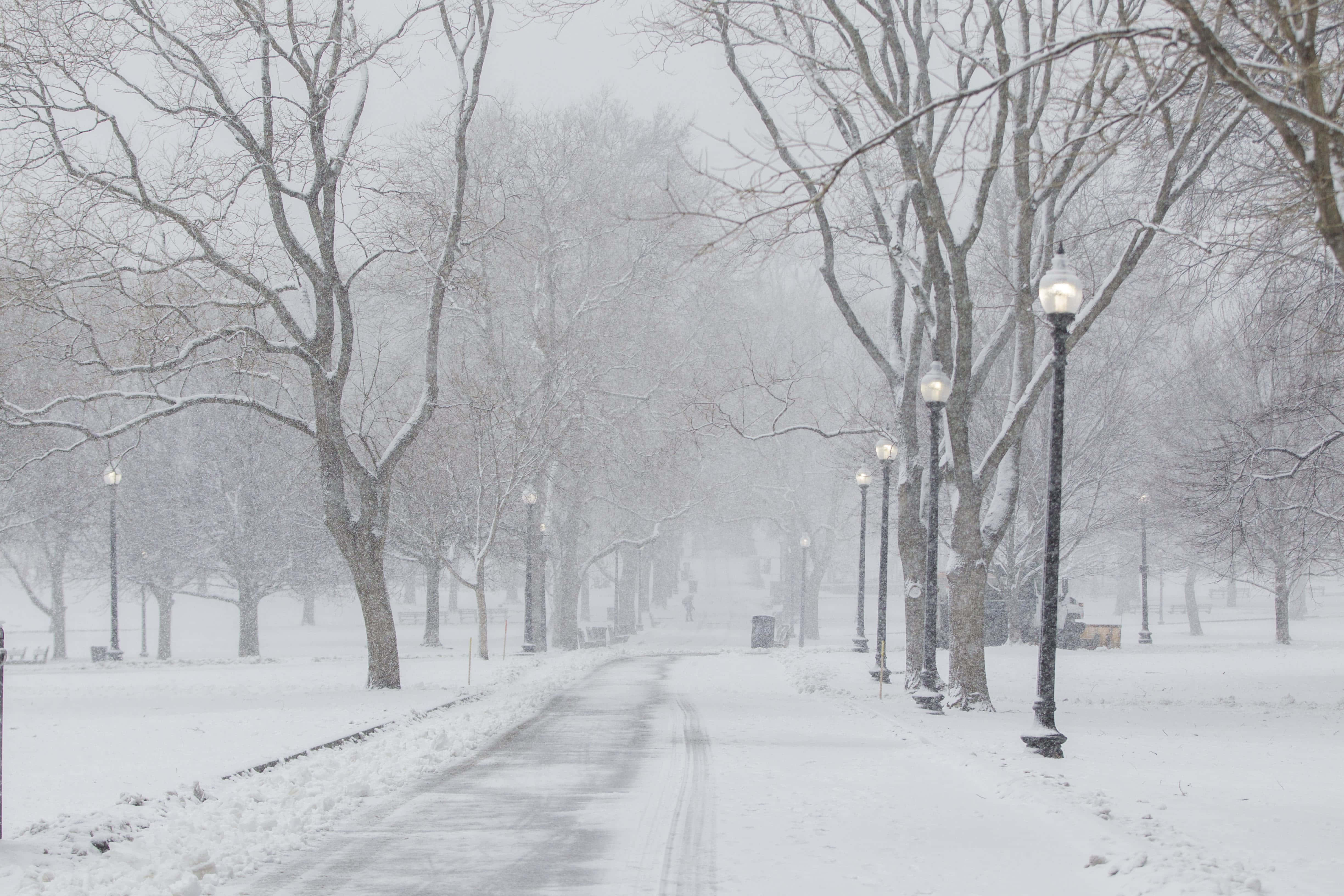 Snow Falling 桌布 壁紙 — 一條白雪覆蓋的公園小徑，兩旁是光禿禿的樹木和發光的街燈，消失在朦朧的冬季風暴中。