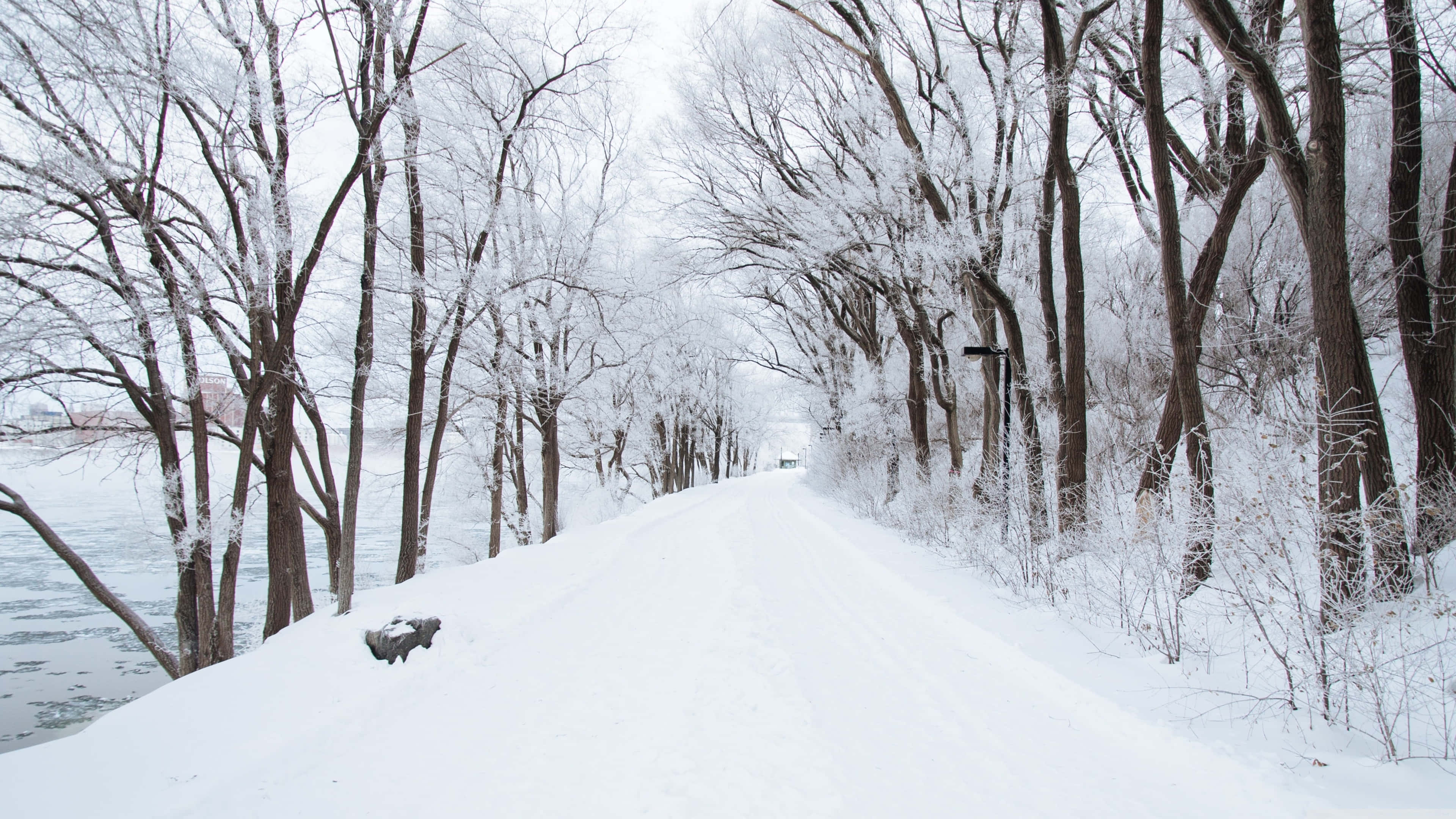 Snowy Road 桌布 壁紙 — 一條白雪覆蓋的小徑蜿蜒穿過冬日光禿的樹木，旁邊是一條結冰的河流，天空陰沉。