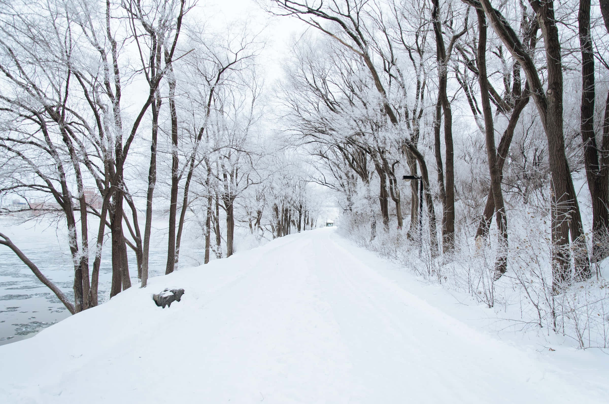 Winter Forest 桌布 壁紙 — 一條白雪覆蓋的小徑蜿蜒穿過冬日光禿的樹木，旁邊是一條結冰的河流，天空多雲。