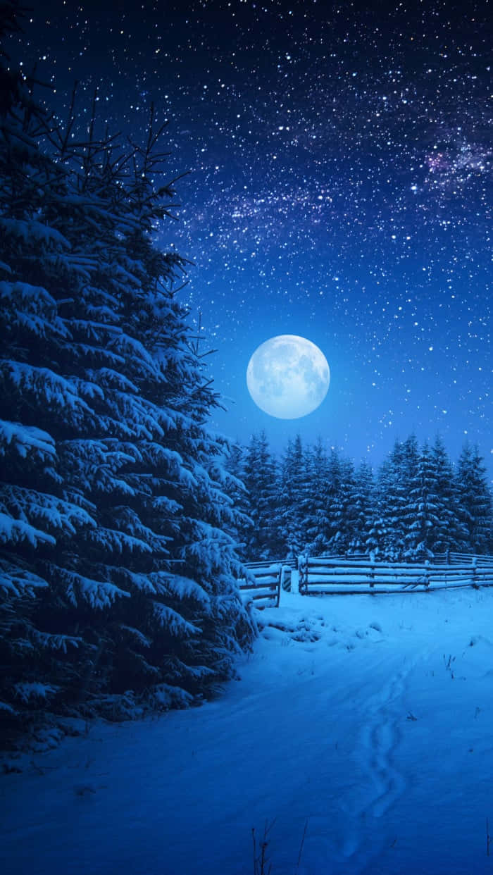 人像動態 桌布 壁紙 — 一條白雪覆蓋的森林小徑，在明亮的滿月和繁星點點的夜空下，兩旁是積雪的松樹。