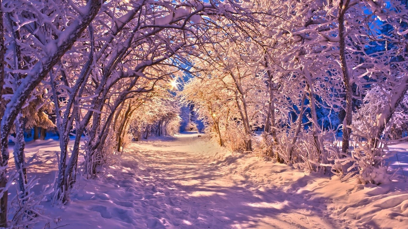 Winter 桌布 壁紙 — 一條白雪覆蓋的森林小徑在粉紅色和藍色的光芒中閃耀，陽光穿過積雪的樹枝灑落。