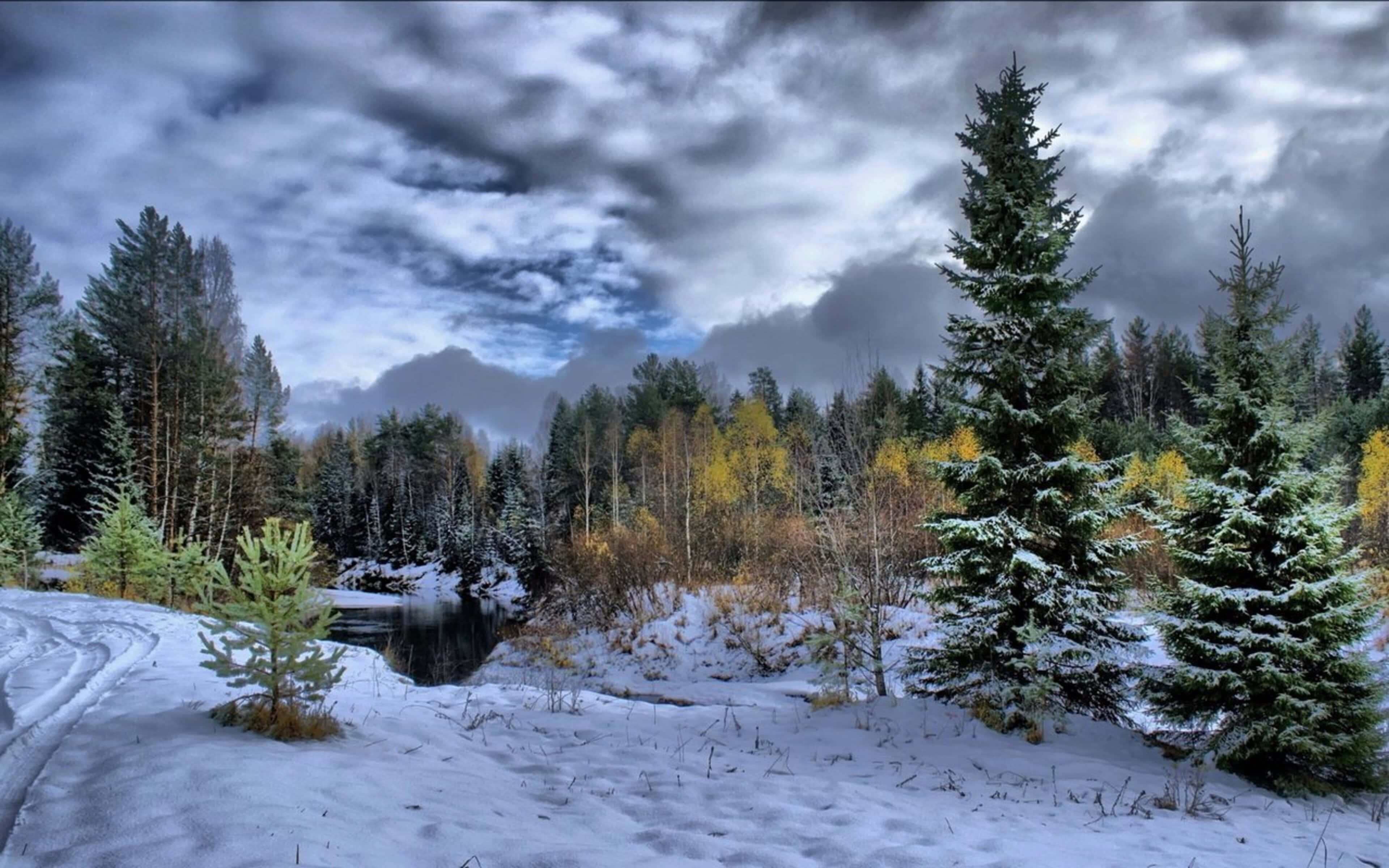 Pine Trees 桌布 壁紙 — 一條白雪覆蓋的森林小徑沿著平靜的河流蜿蜒，在戲劇性的多雲天空下，有常綠樹和秋色樹木。