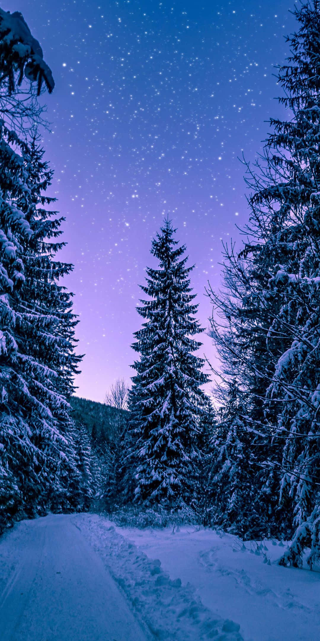 Winter 桌布 壁紙 — 一條白雪覆蓋的森林小徑蜿蜒在星光閃爍的暮色天空下，散發著紫色和藍色的色調。