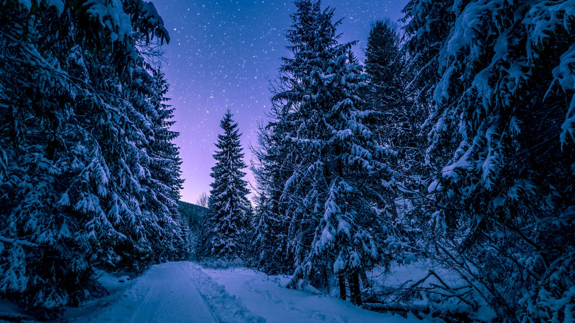 冬季美學 桌布 壁紙 — 一條白雪覆蓋的森林小徑蜿蜒在星光燦爛的暮色天空下，散發著紫色和藍色的光芒。