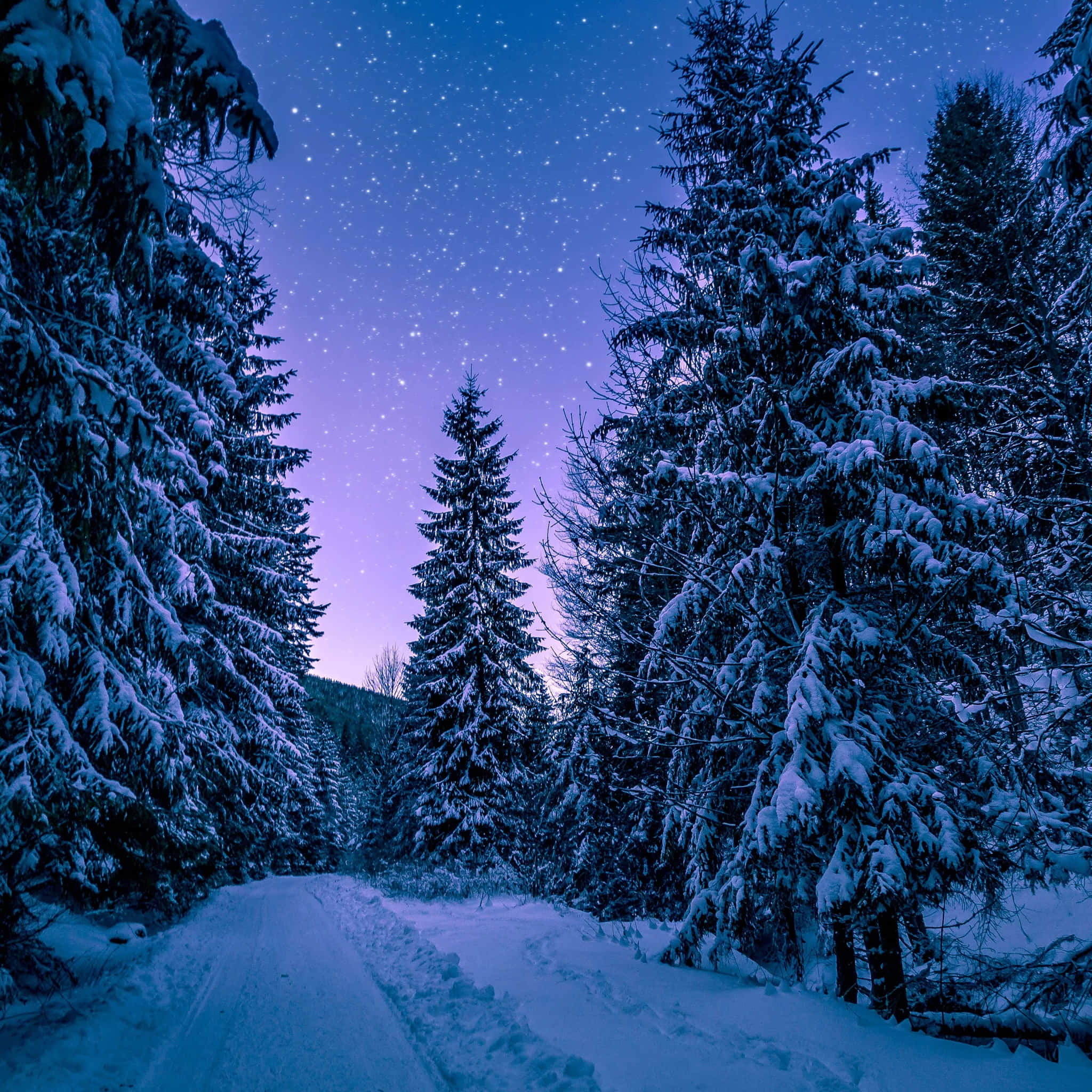 Aesthetic Night Sky 桌布 壁紙 — 一條白雪覆蓋的森林小徑蜿蜒在星光燦爛的暮色天空下，散發著紫色和藍色的色調。