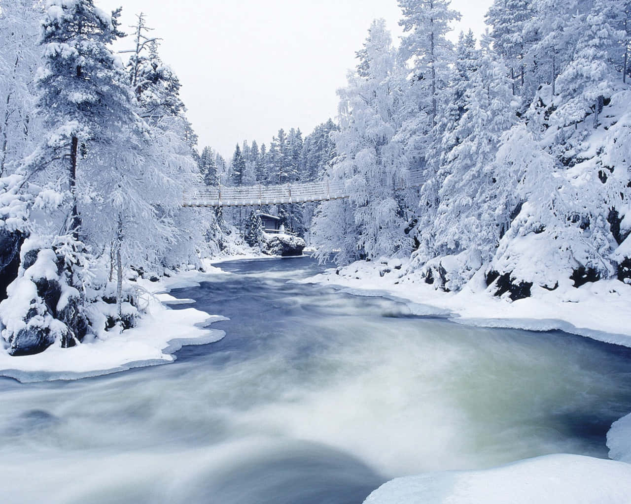 Best Winter 桌布 壁紙 — 一條白雪覆蓋的森林河流在吊橋下流淌，結霜的樹木排列在河岸兩旁，天空多雲。