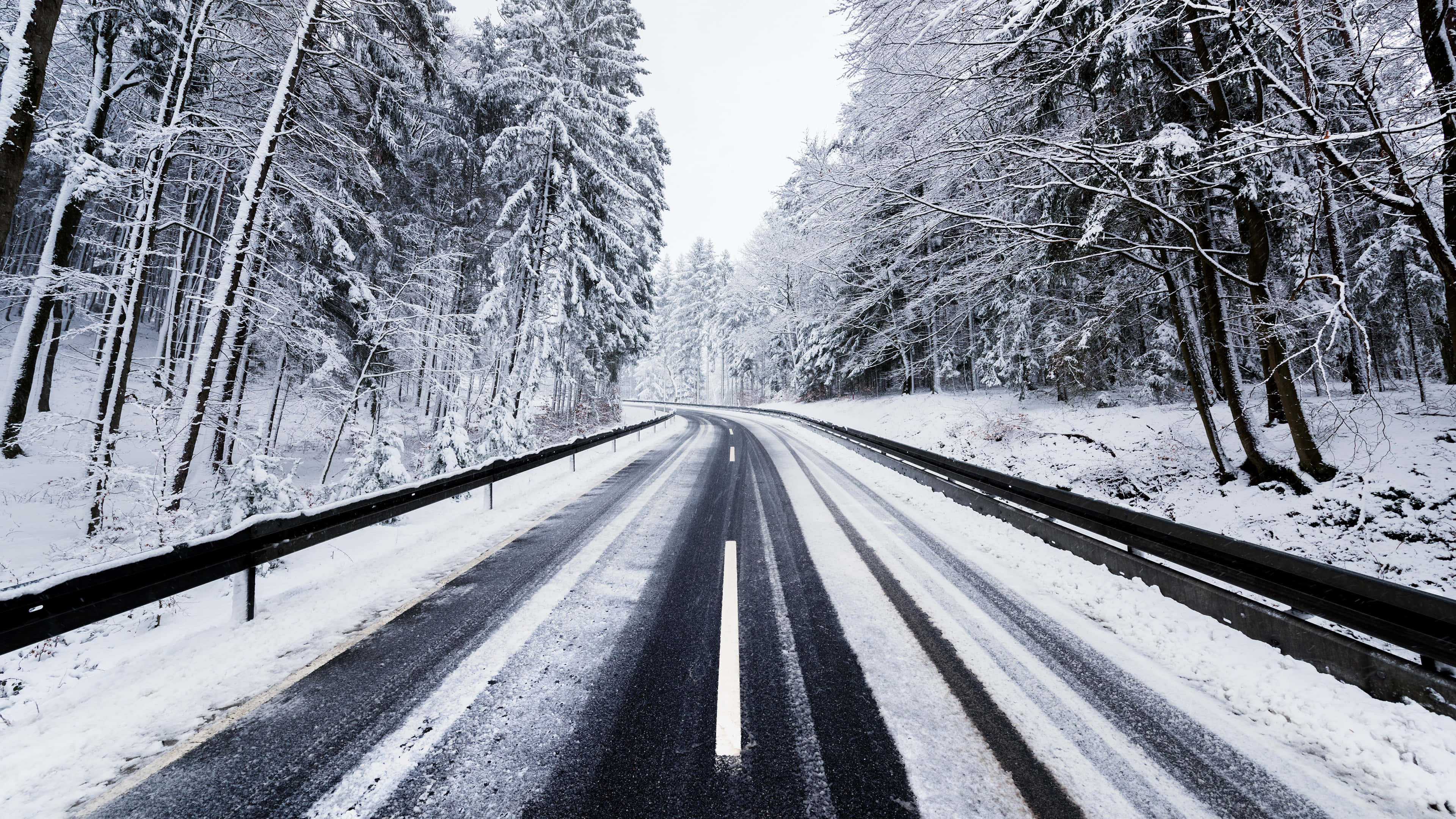Road 桌布 壁紙 — 一條白雪覆蓋的道路蜿蜒穿過茂密的冬季森林，高大的常綠樹披上了白色。
