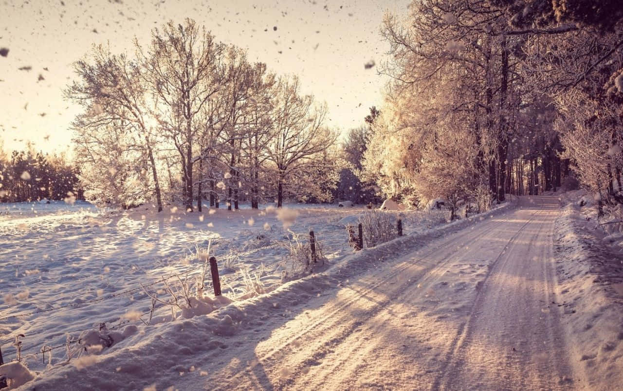 Winter Scene 桌布 壁紙 — 一條白雪覆蓋的鄉村道路蜿蜒穿過結霜的樹木，在柔和的金色日落天空下，雪花飄落。