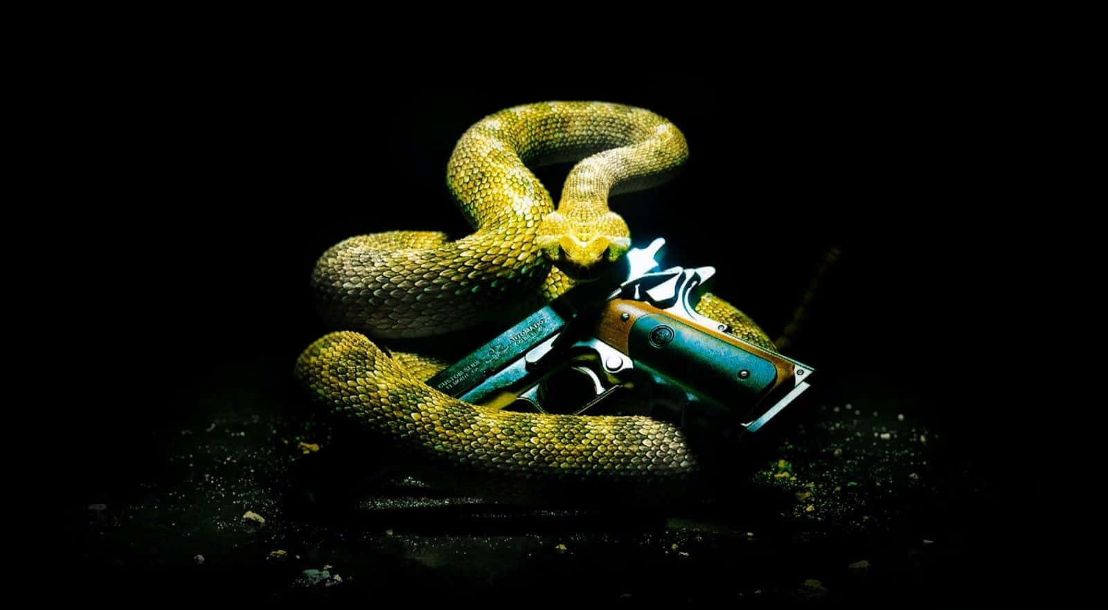 Rattlesnake 桌布 壁紙 — 一條盤繞的綠色蛇纏繞著左輪手槍，背景為純黑色，燈光效果強烈。