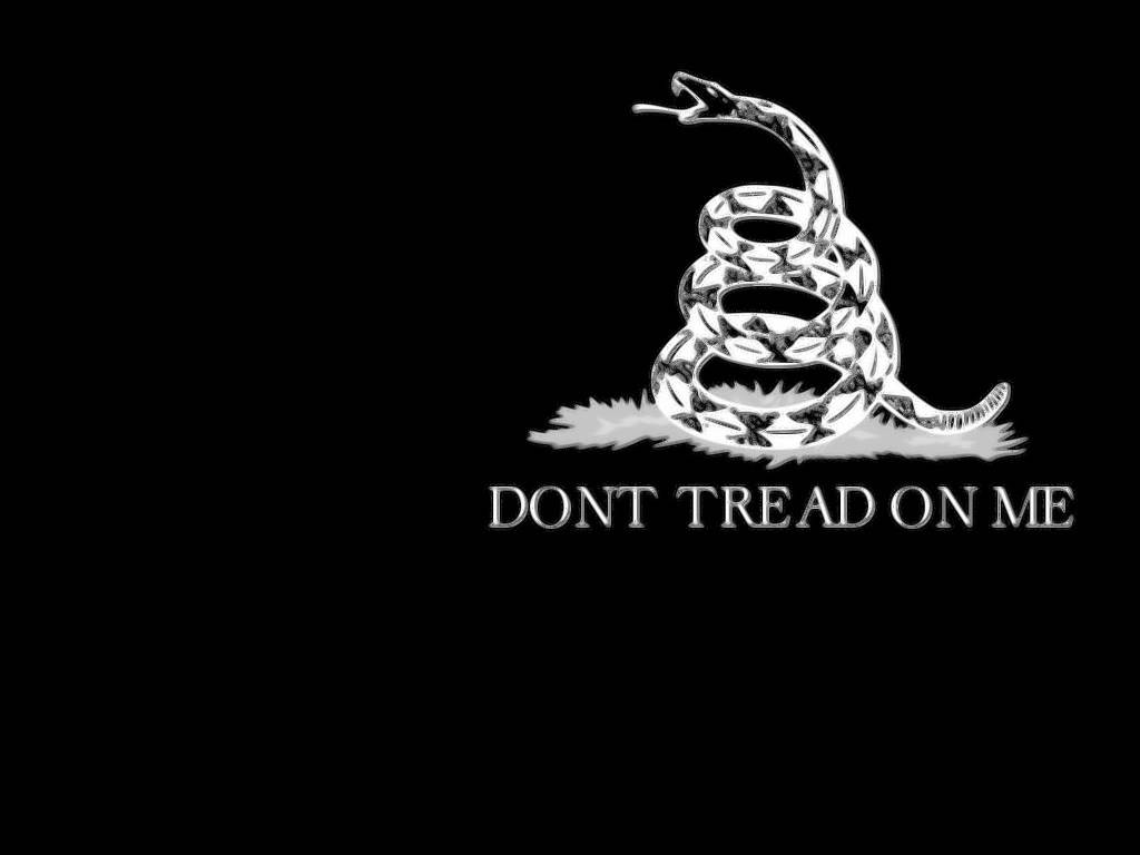 Gadsden Flag 桌布 壁紙 — 一條盤繞的銀色響尾蛇張開嘴巴，並在純黑背景上附有警告文字。