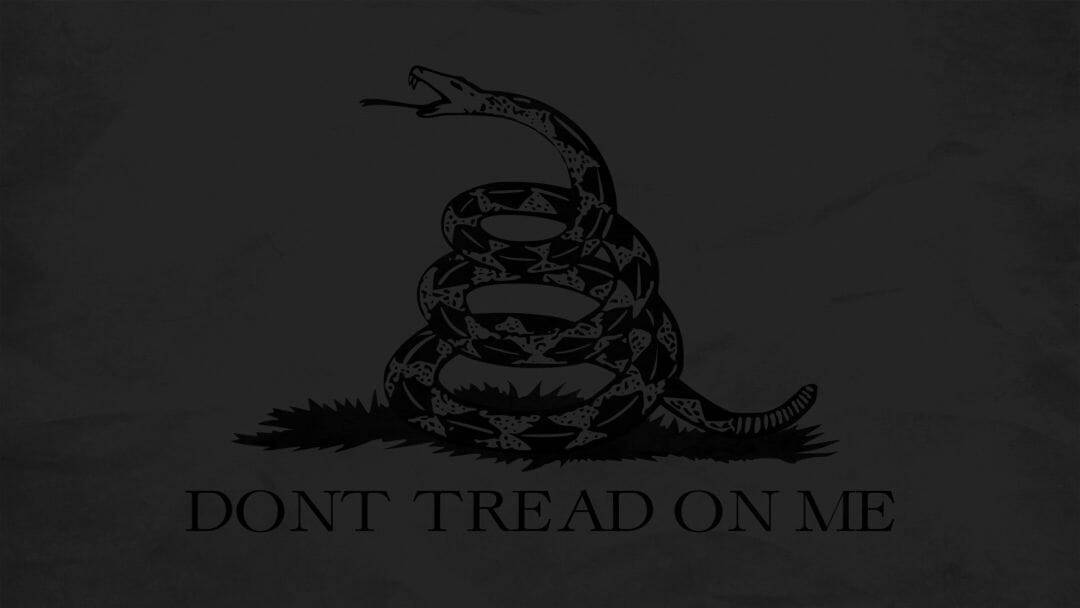 Gadsden Flag 桌布 壁紙 — 一條盤繞的響尾蛇，頭部抬起，嘴巴張開，站在有紋理的深灰色背景上，下方有文字「DONT TREAD ON ME」。