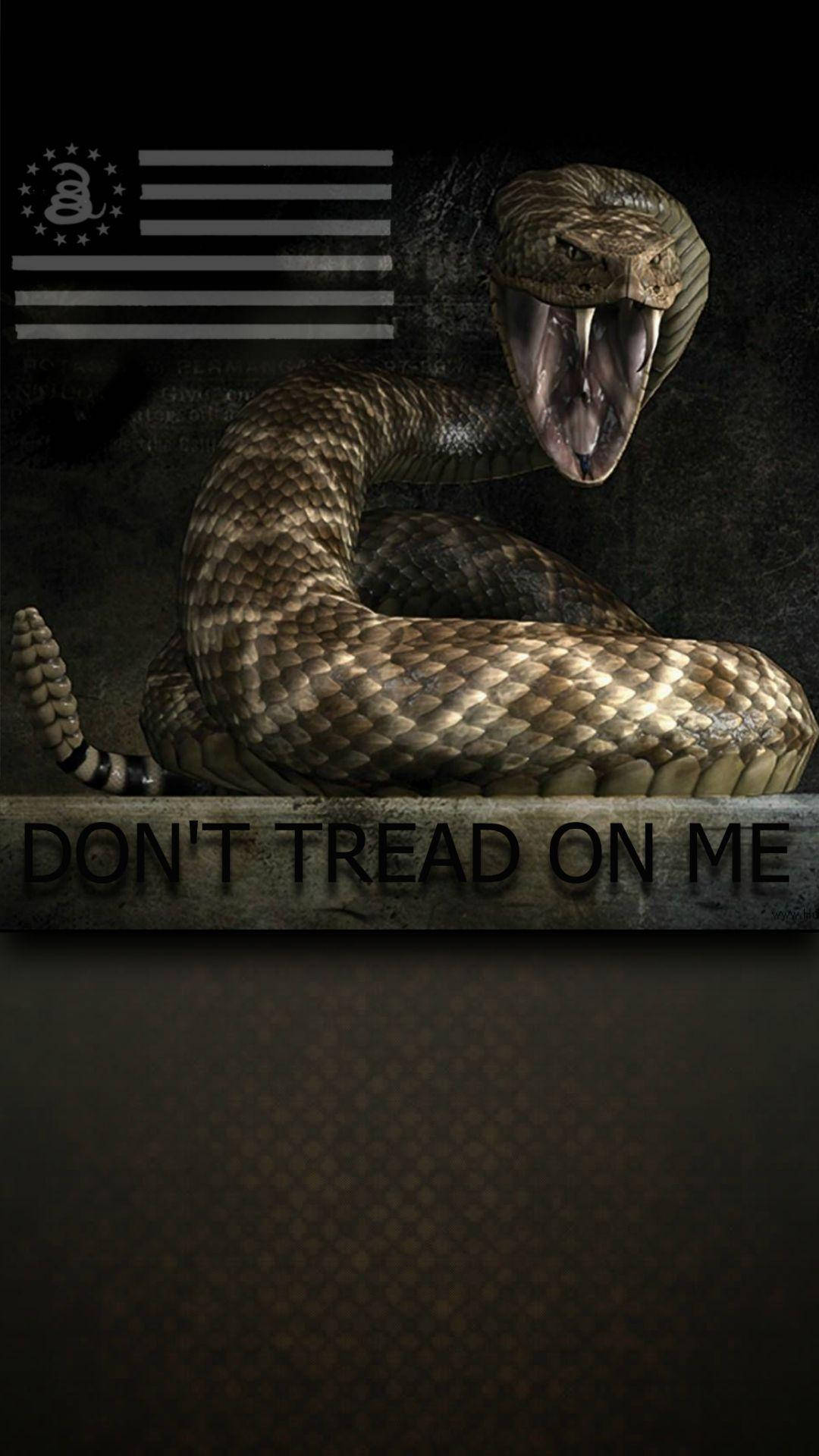 Gadsden Flag 桌布 壁紙 — 一條盤繞的響尾蛇張開嘴巴露出毒牙，在黑暗背景前凝視前方，背景有加茲登旗幟和「DON'T TREAD ON ME」文字。