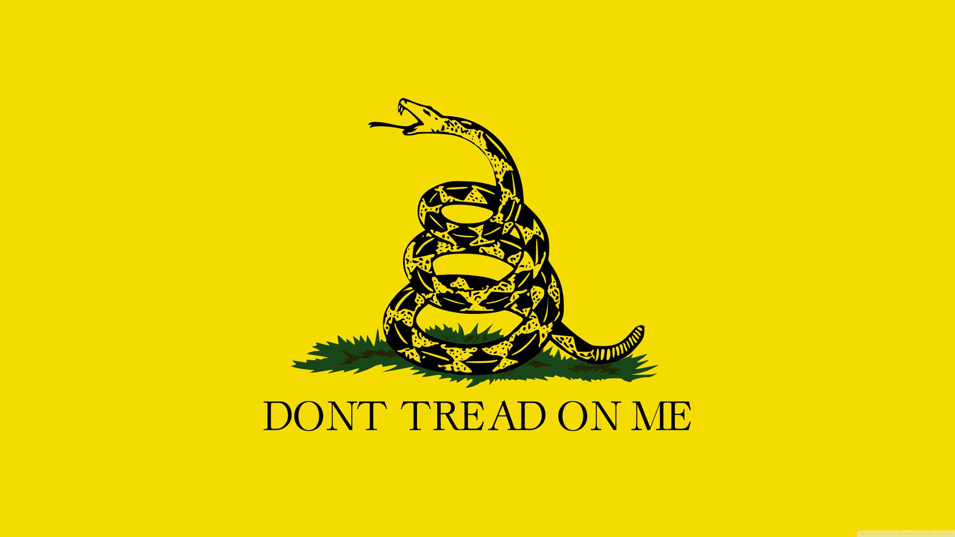 Flag 桌布 壁紙 — 一條盤繞的黑色響尾蛇露出尖牙，站在綠色草地上，背景為亮黃色，下方有粗體文字。