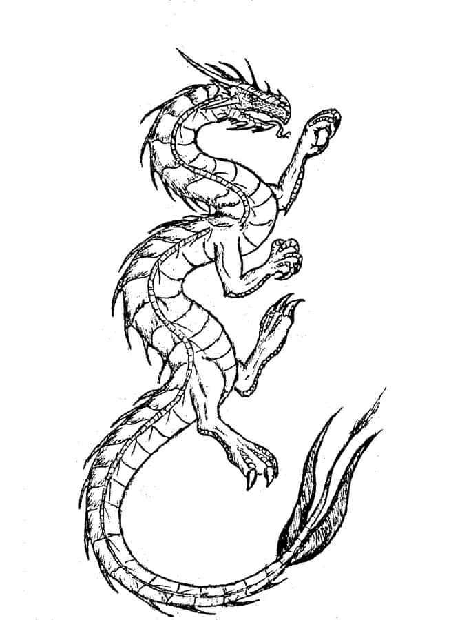 Dragon Coloring 桌布 壁紙 — 一條盤繞的龍的詳細黑白線條畫，帶有紋理鱗片和鋒利爪子。