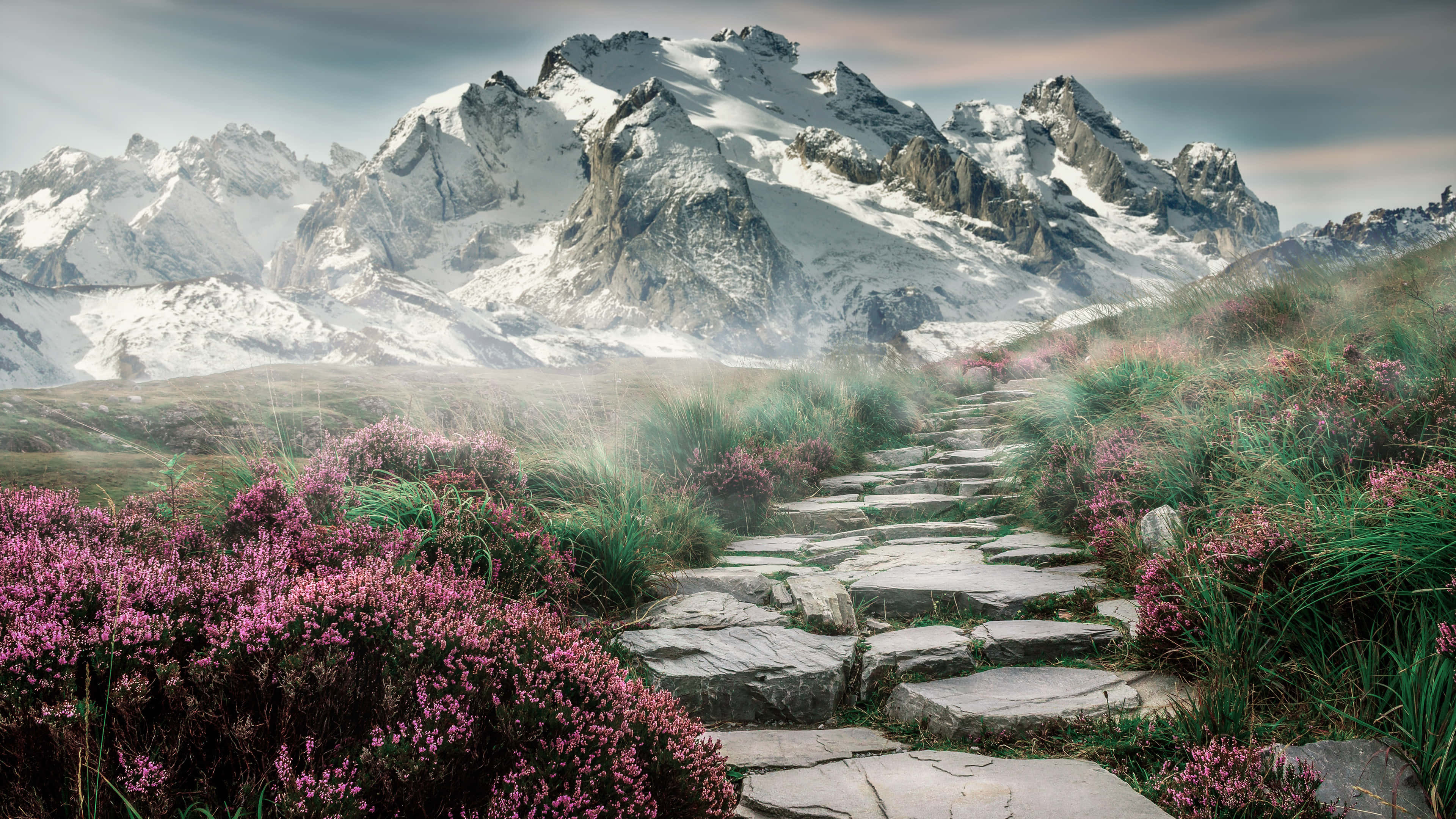 4K Mountain 桌布 壁紙 — 一條石徑蜿蜒穿過紫色石楠花，通往白雪覆蓋的山峰，天空柔和暮色籠罩。